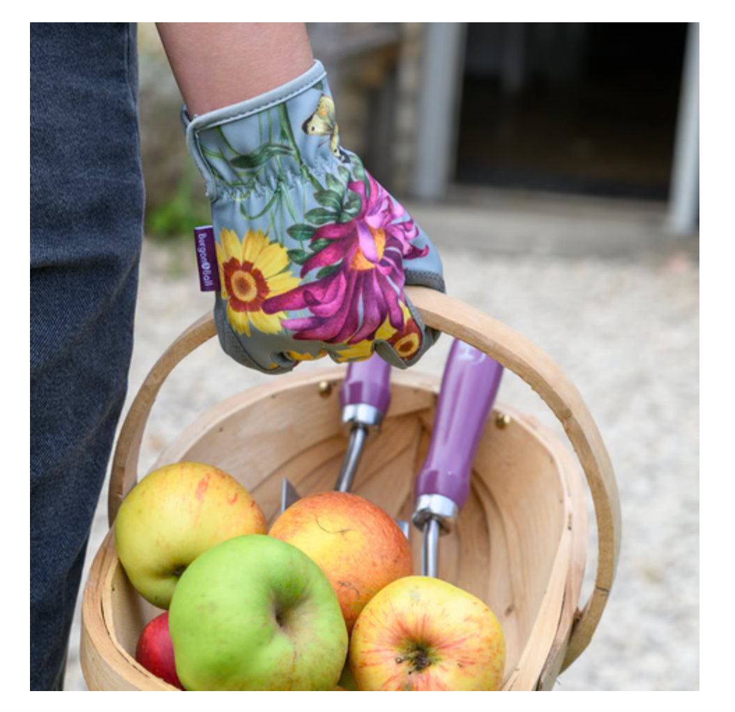 Asteraceae Gift Gloves