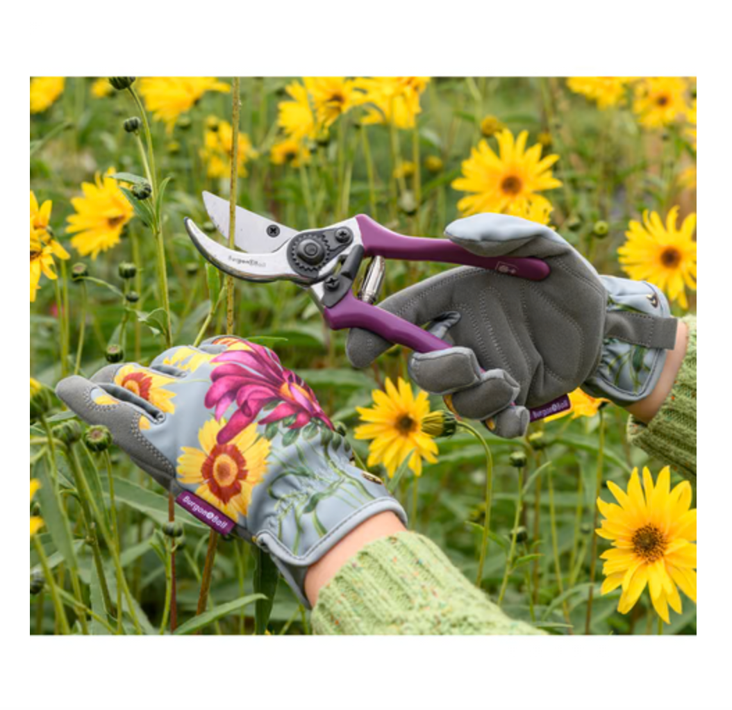 Asteraceae Gift Gloves