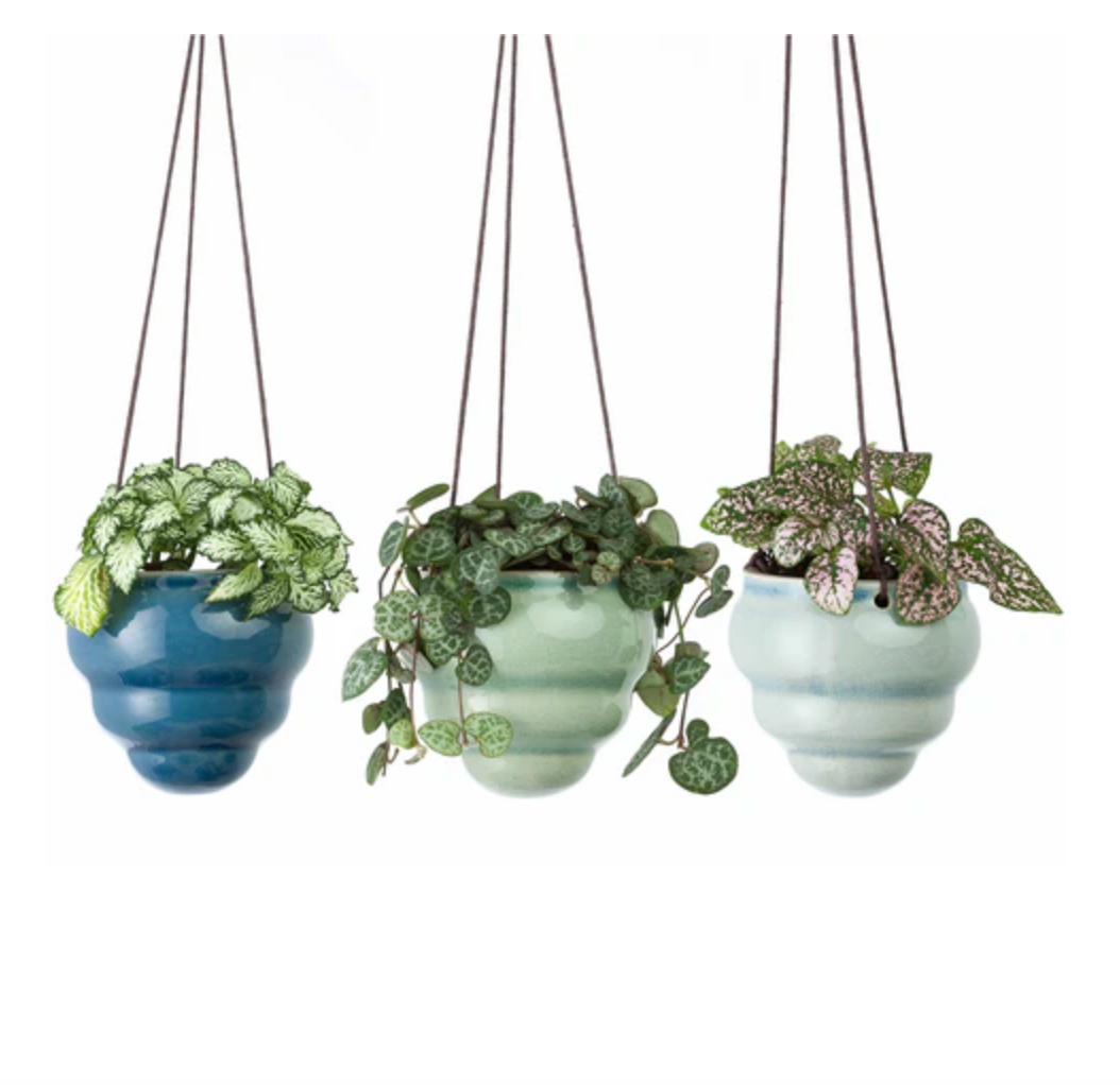Baby Bombini Hanging Pots