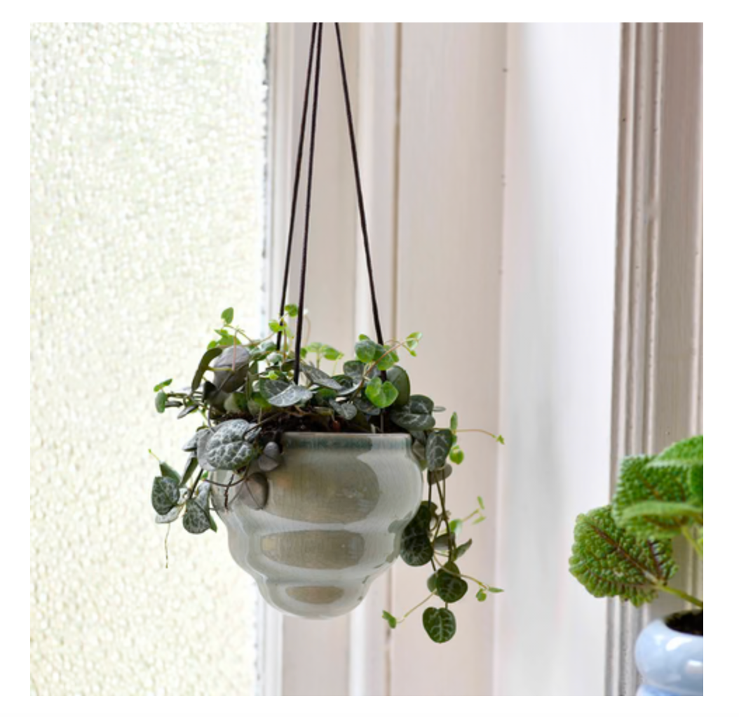 Baby Bombini Hanging Pots