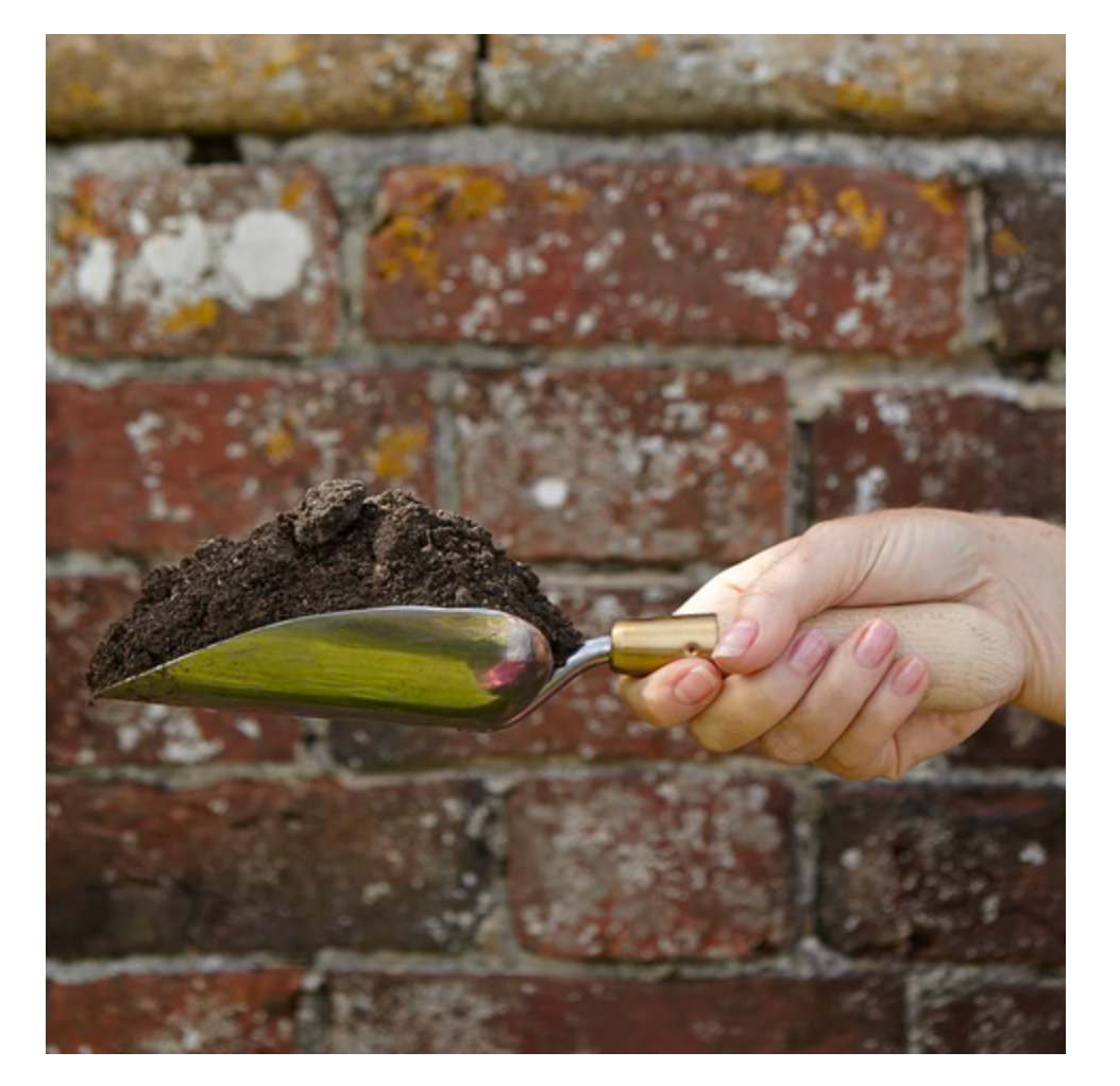 Sophie Conran Trowel