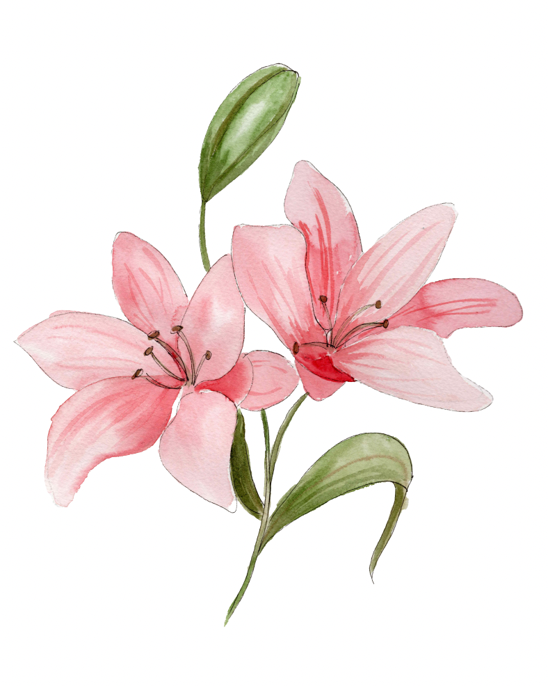 Watercolor Lilies Signed Art Print
