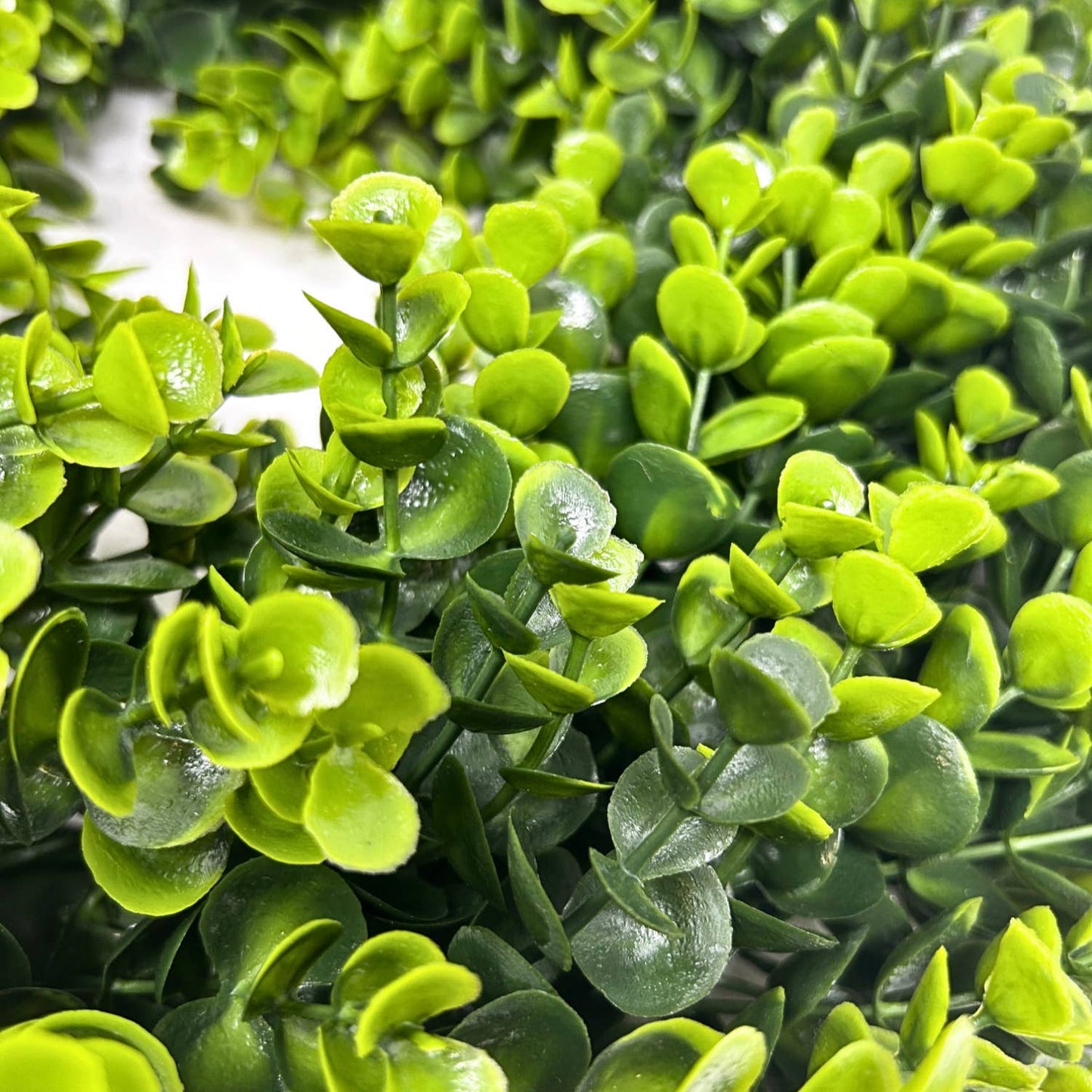 David Christopher's Collection - Eastern Eucalyptus Wreath - Two Tone Green 18"