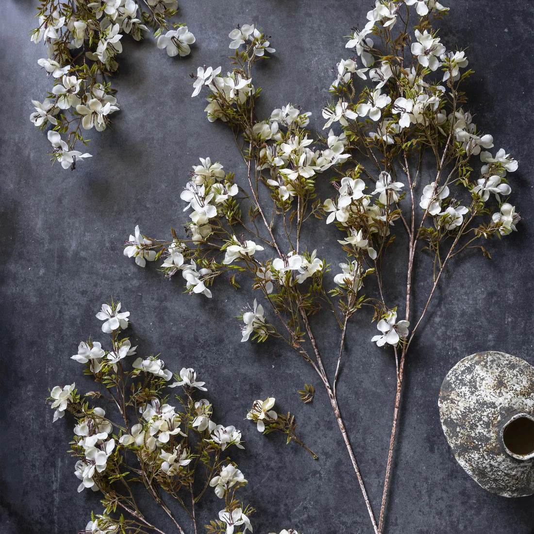 Cream Prunus Blossoms
