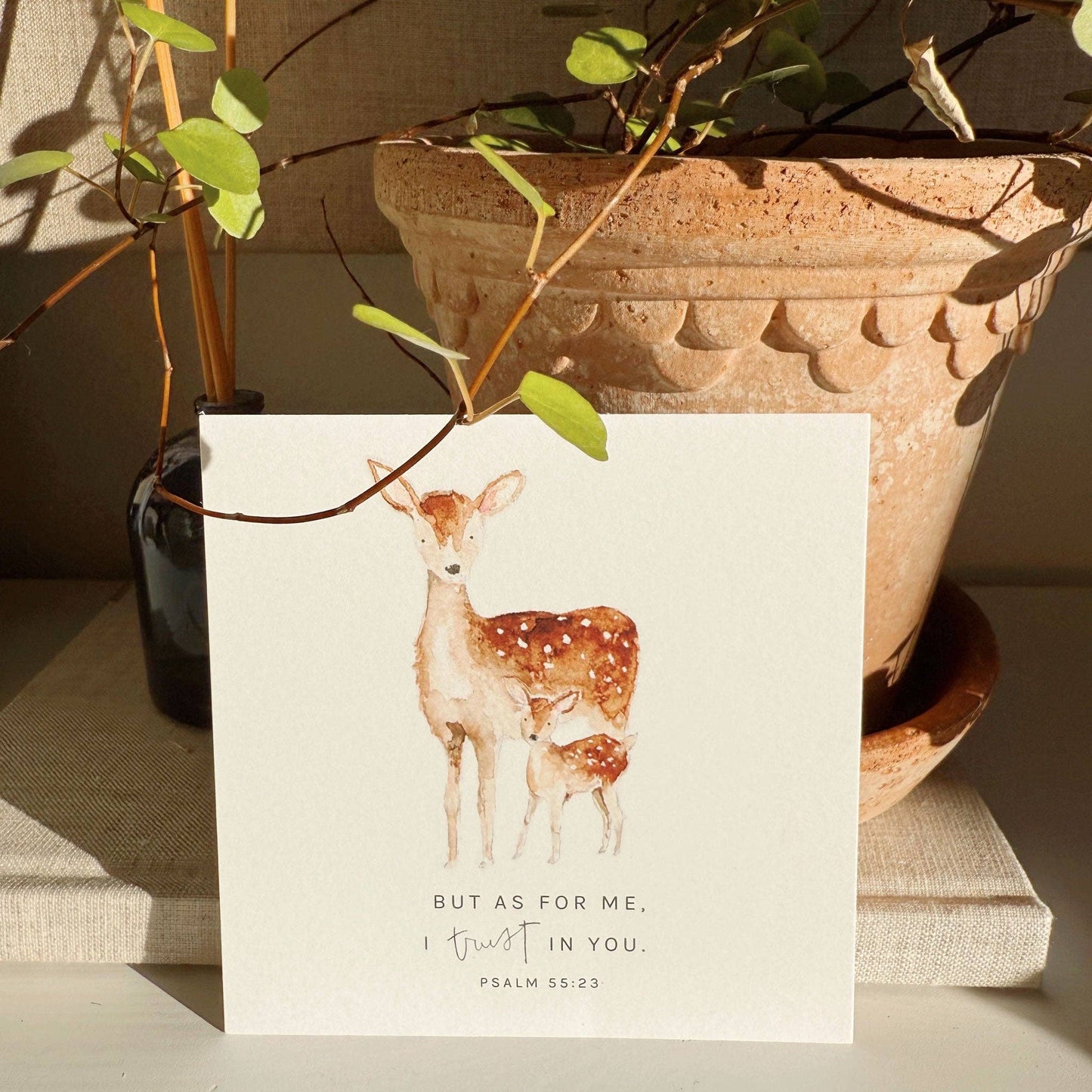 emily lex studio - Truth for today psalms cards