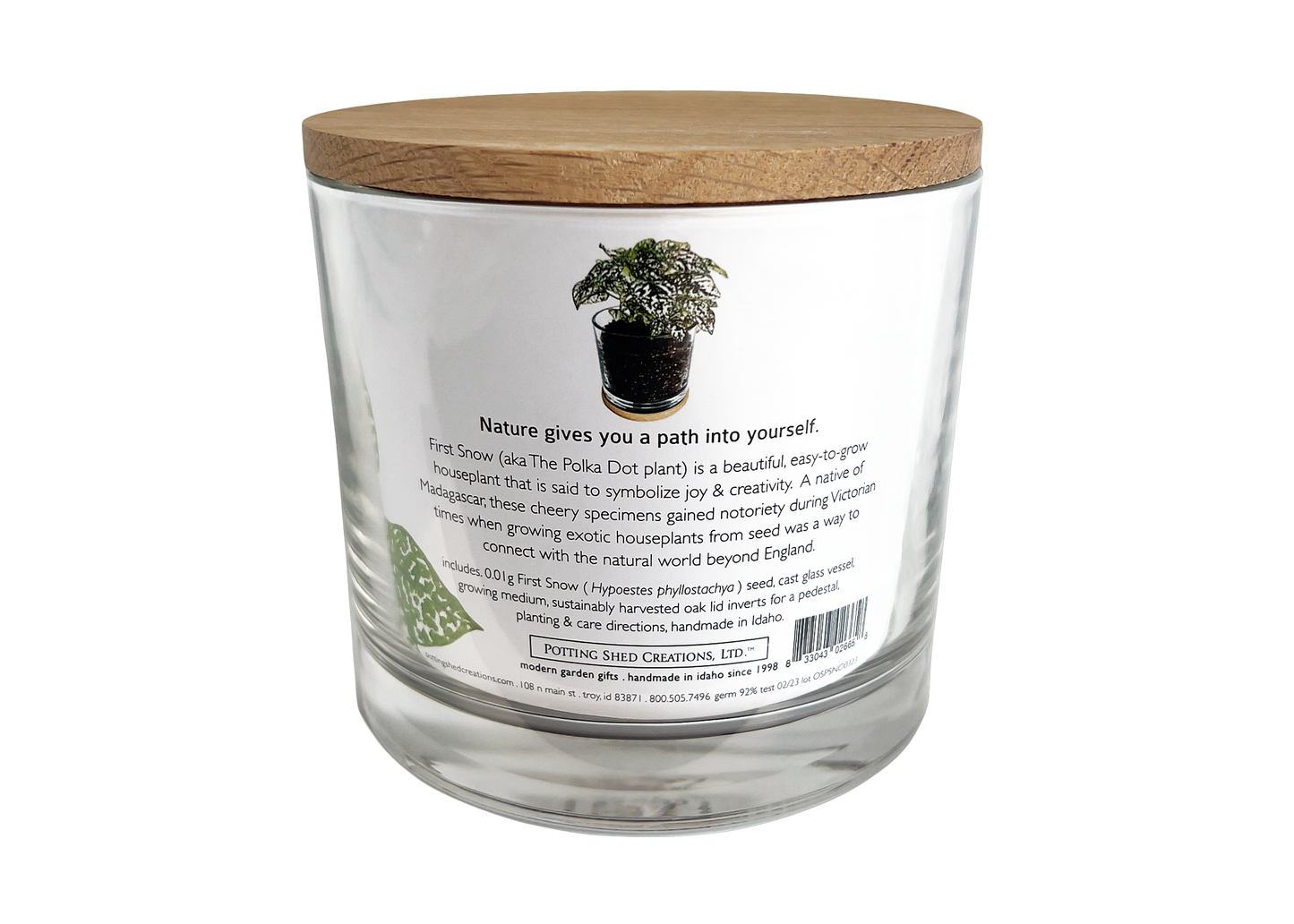 Potting Shed Creations, Ltd. - NEW | Houseplant Collection | First Snow