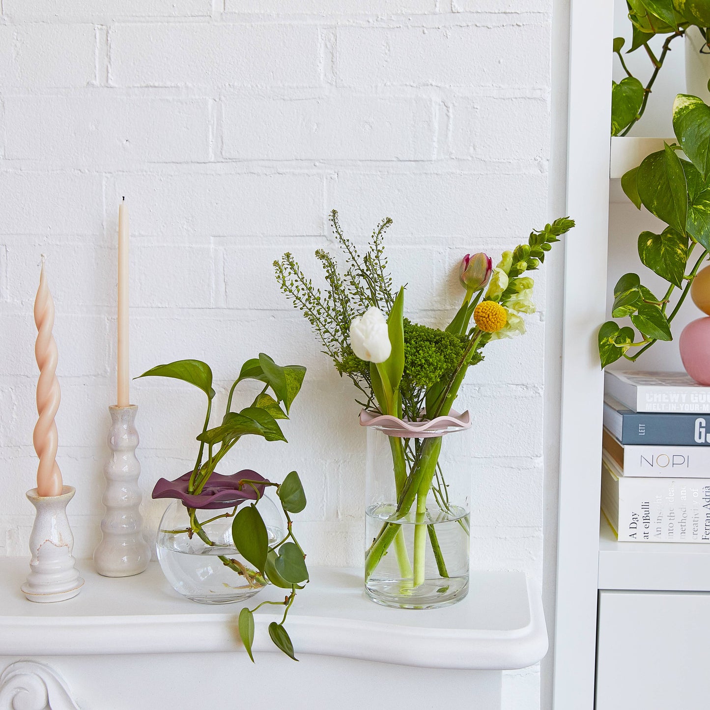 Modern Sprout - Botanical Keepers - Set of 2