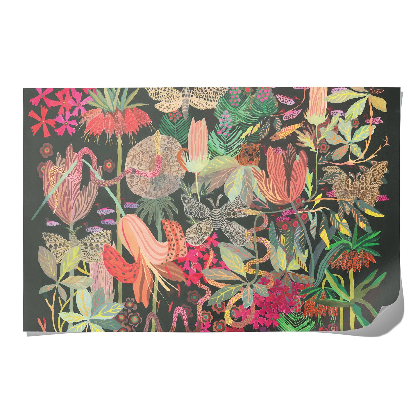 Red Cap Cards - Wild Kingdom wrapping paper