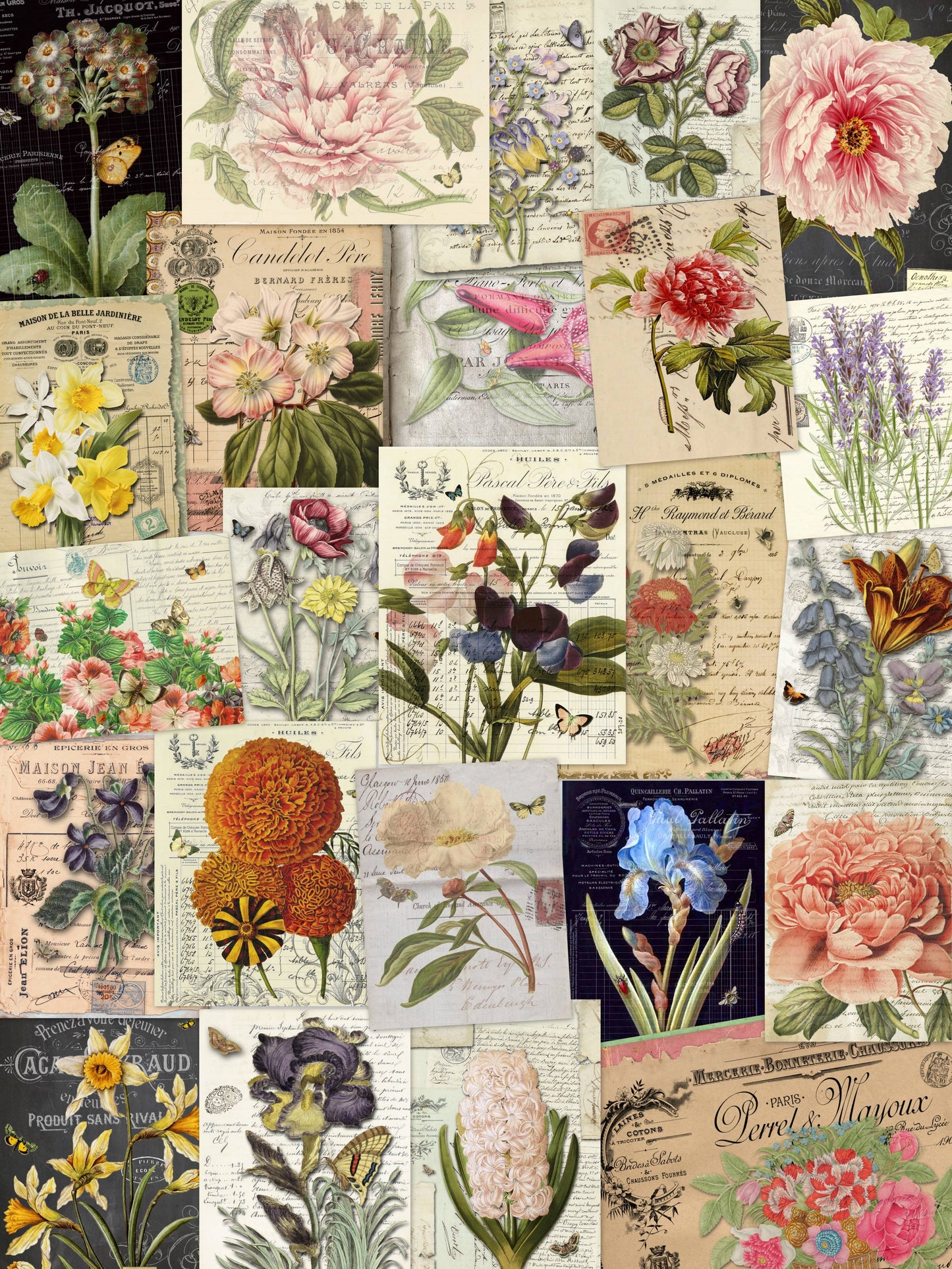 Monahan Papers - Assorted 11" x 17" 50 Piece Botanicals Papers Collection