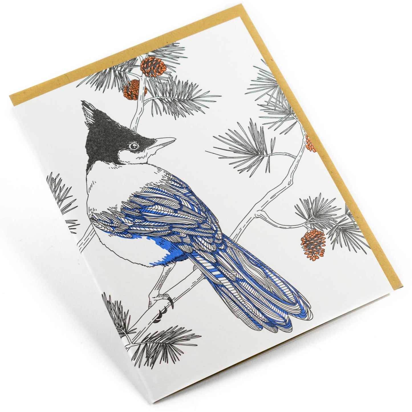 Nature Bird Series_Steller's Jay: Single Card