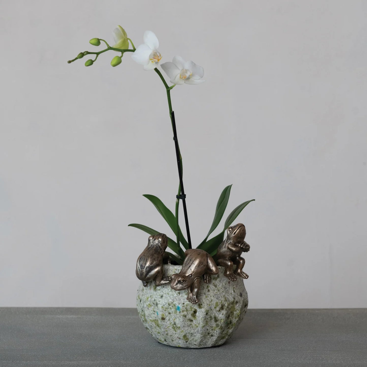 Frog Pot Hanger