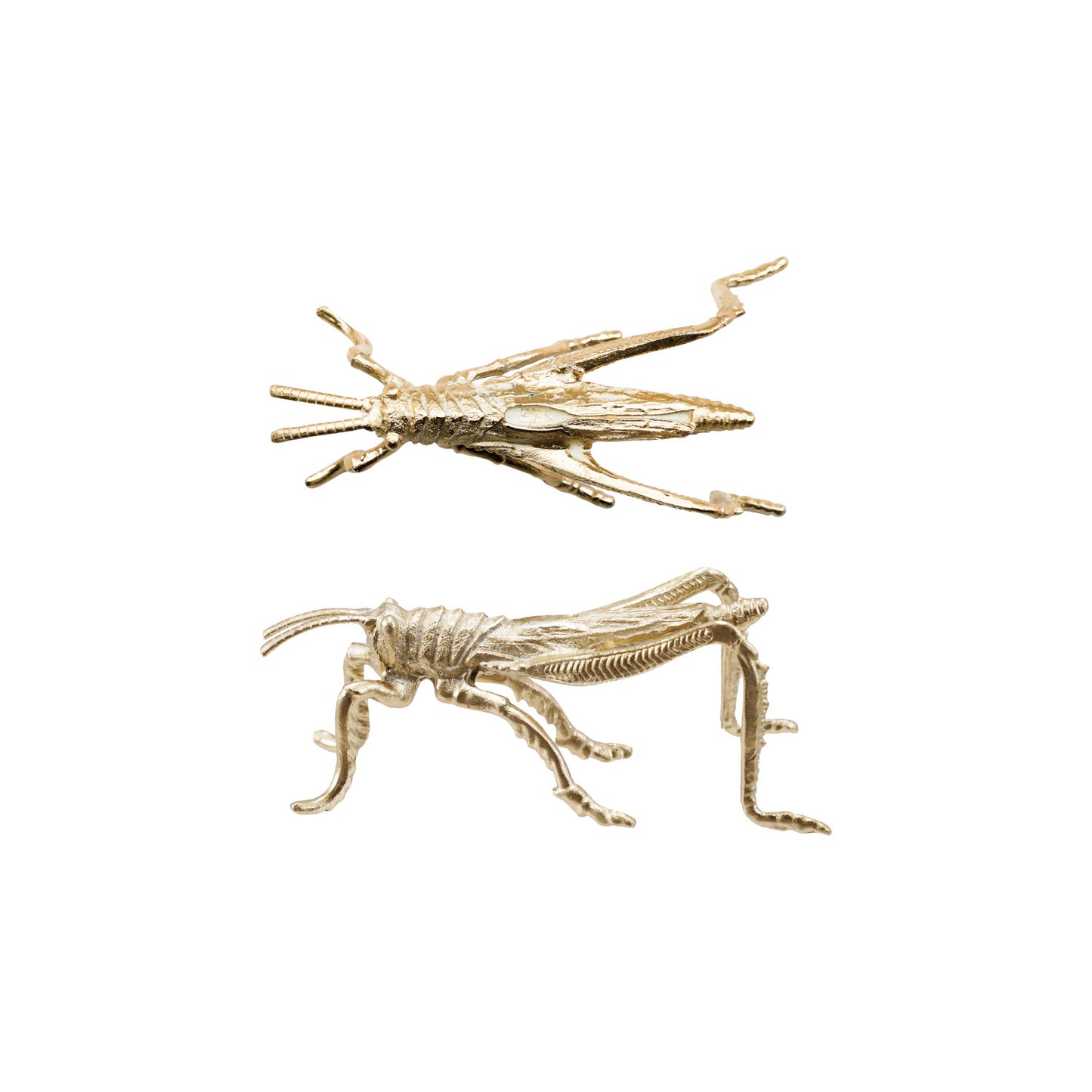 Gold Grasshopper