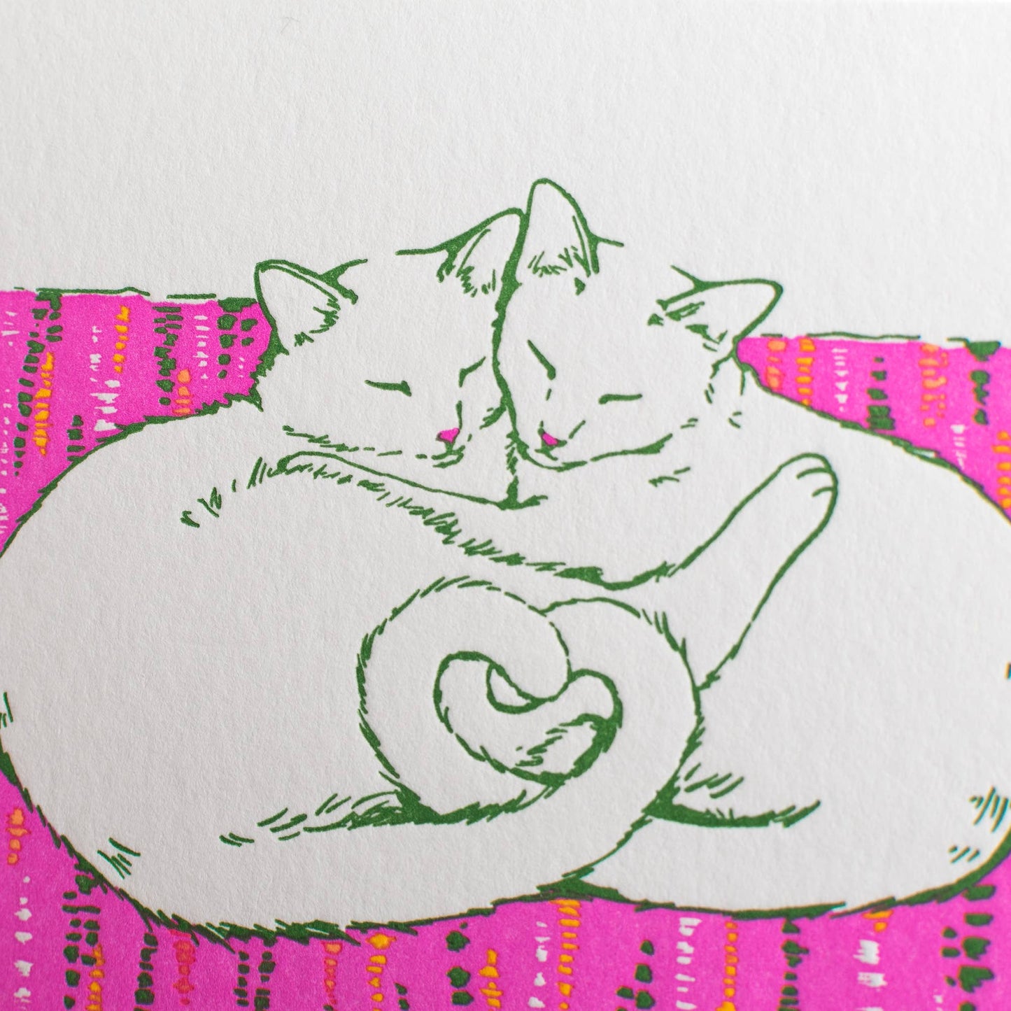 Cat Love Greeting Card: Single Card