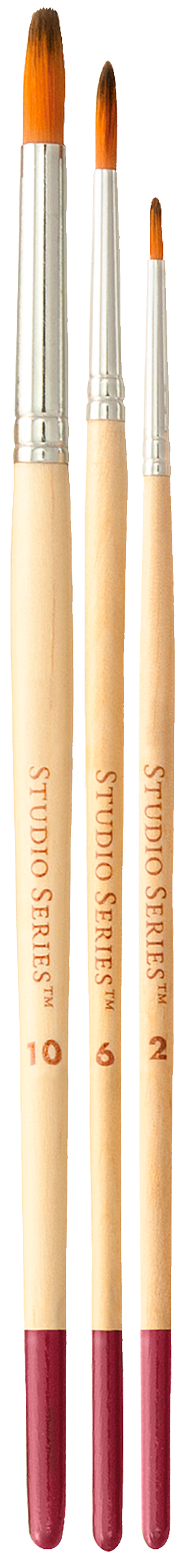 Artist's Paintbrush Set
