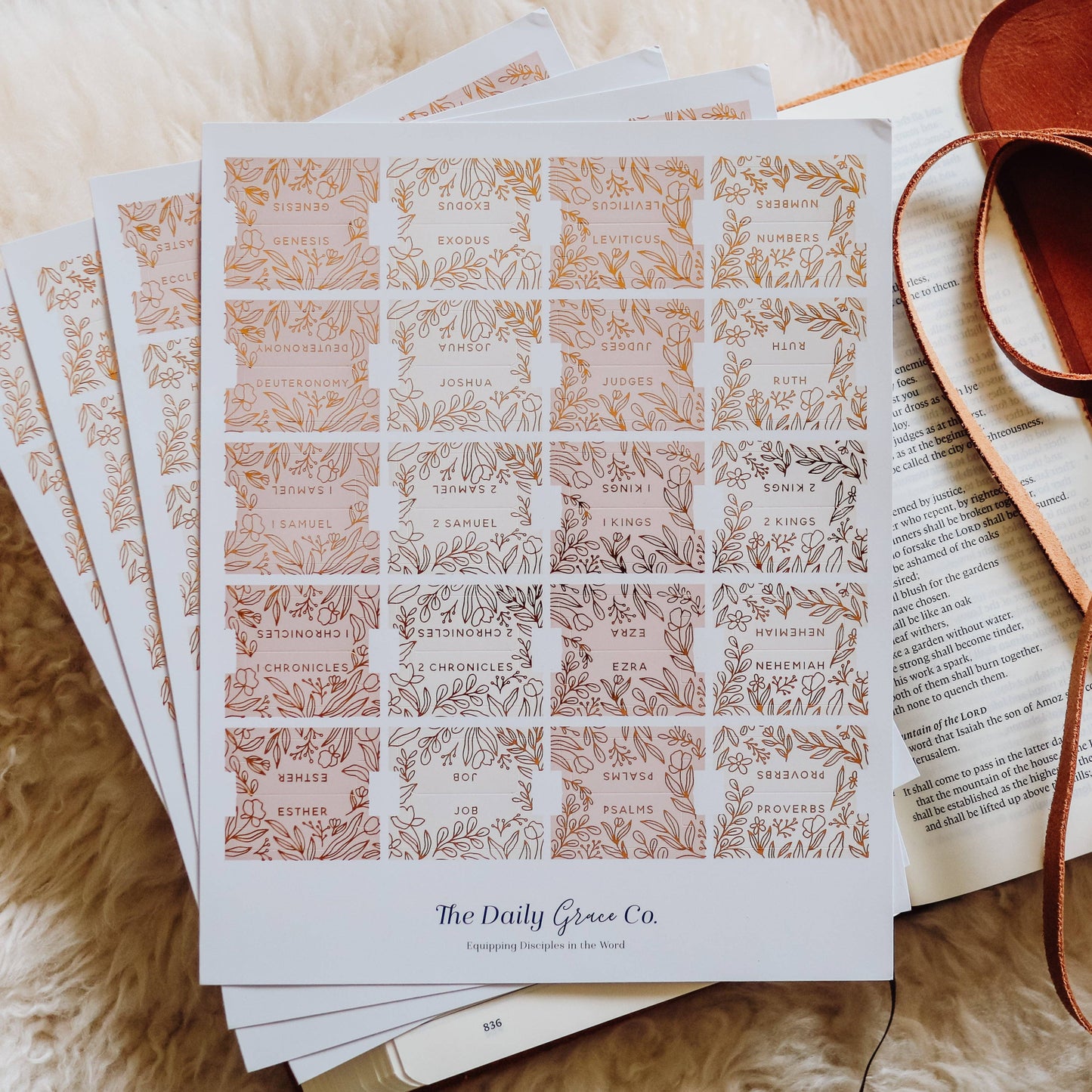 The Daily Grace Co - Gold Foil Bible Tabs - Dusty Pink