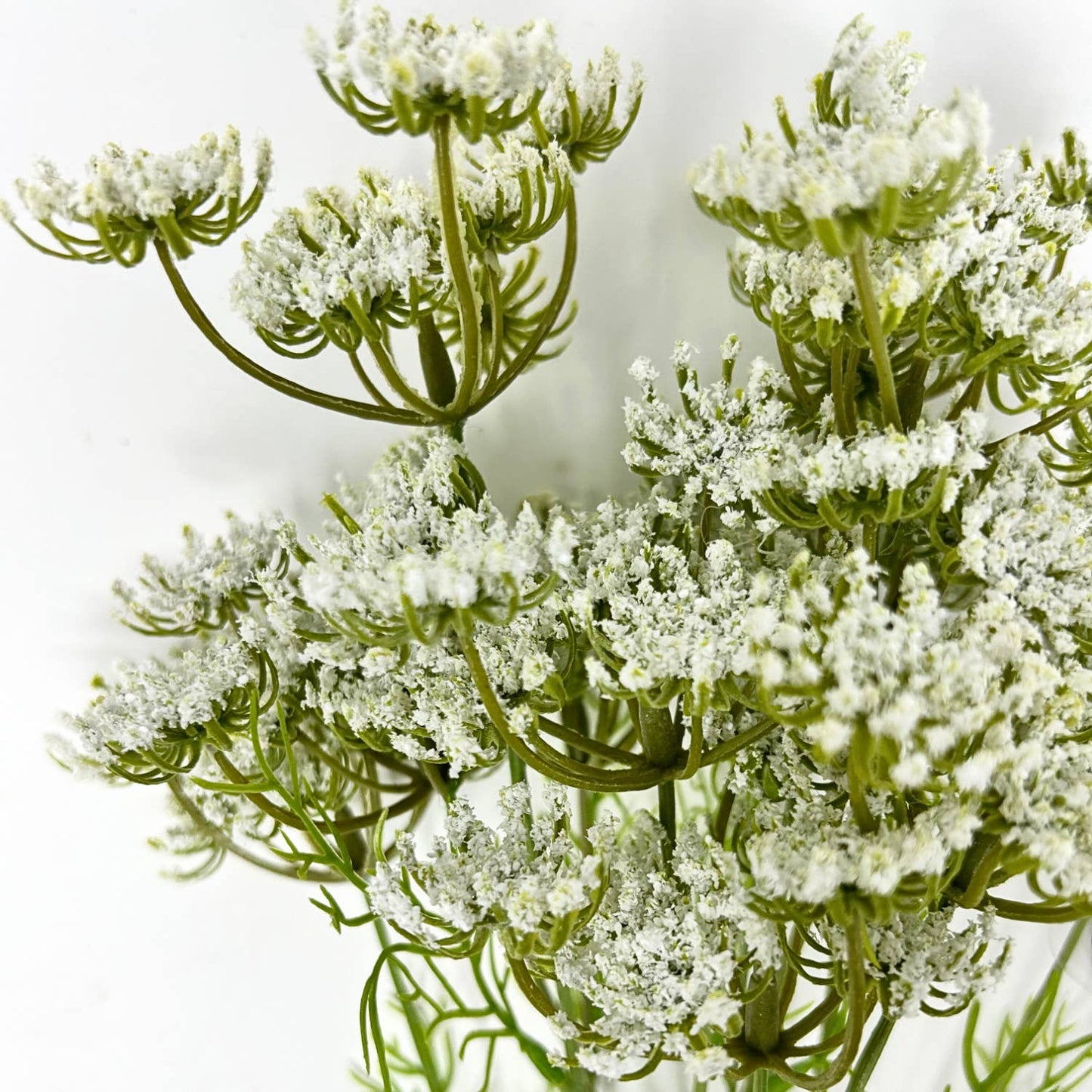 David Christopher's Collection - 24” Queen Anne's Lace Bundle x 3 - White