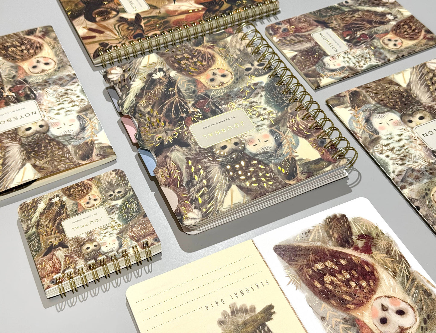 BV by Bruno Visconti - Small Notebook  Owls 