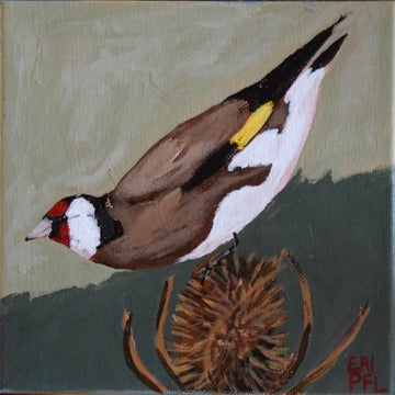 A Bird A Day No 5: The European Goldfinch