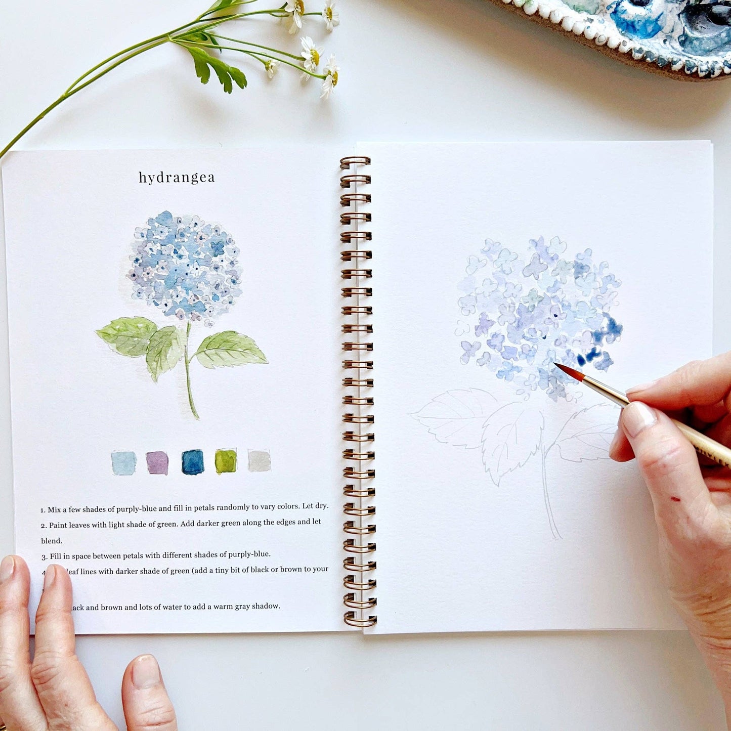 emily lex studio - Flowers watercolor workbook