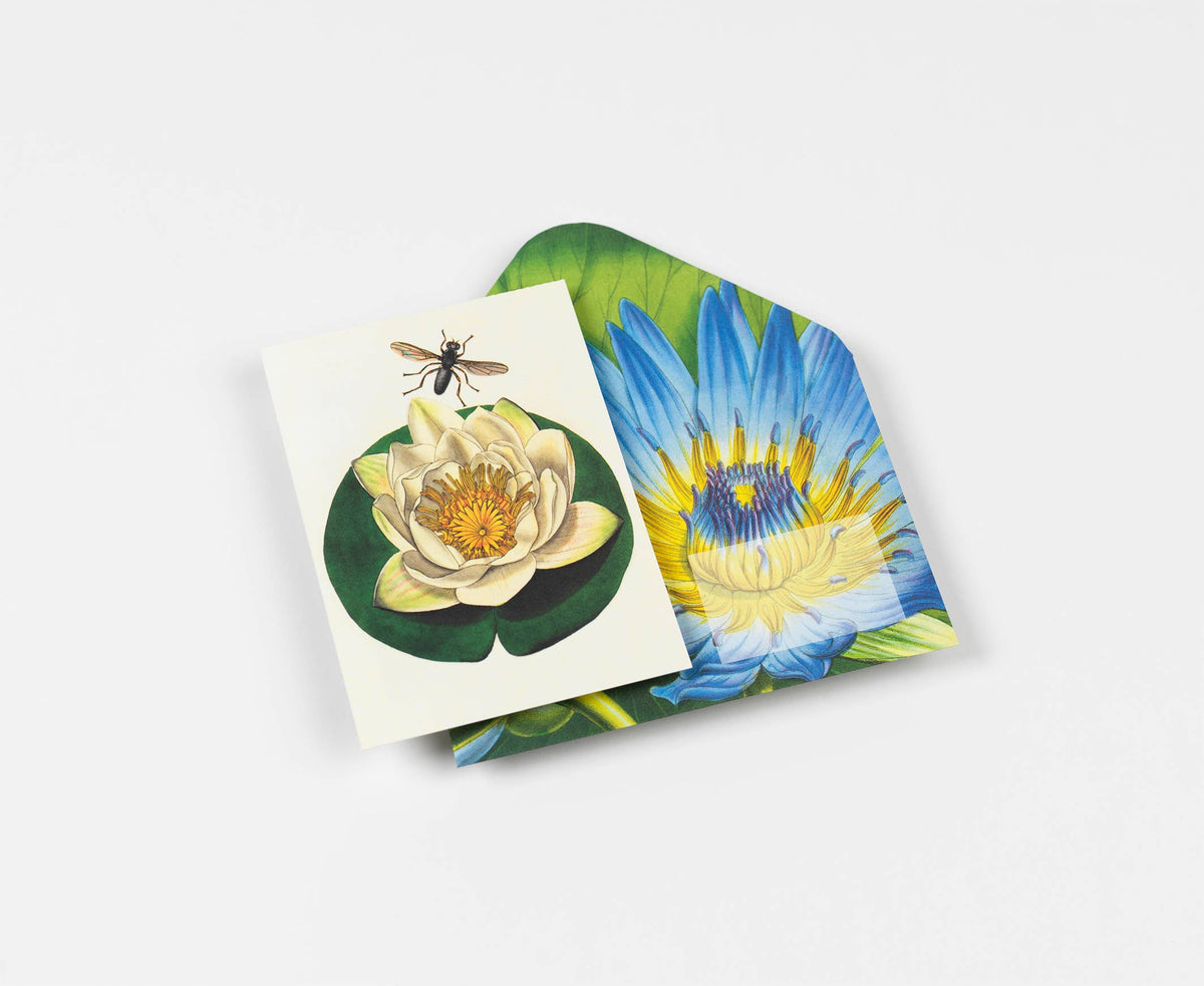 Pepin Press - Flowers Creative Paper Book