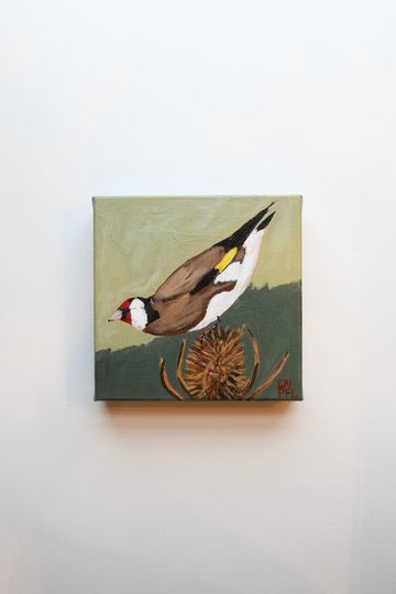 A Bird A Day No 5: The European Goldfinch