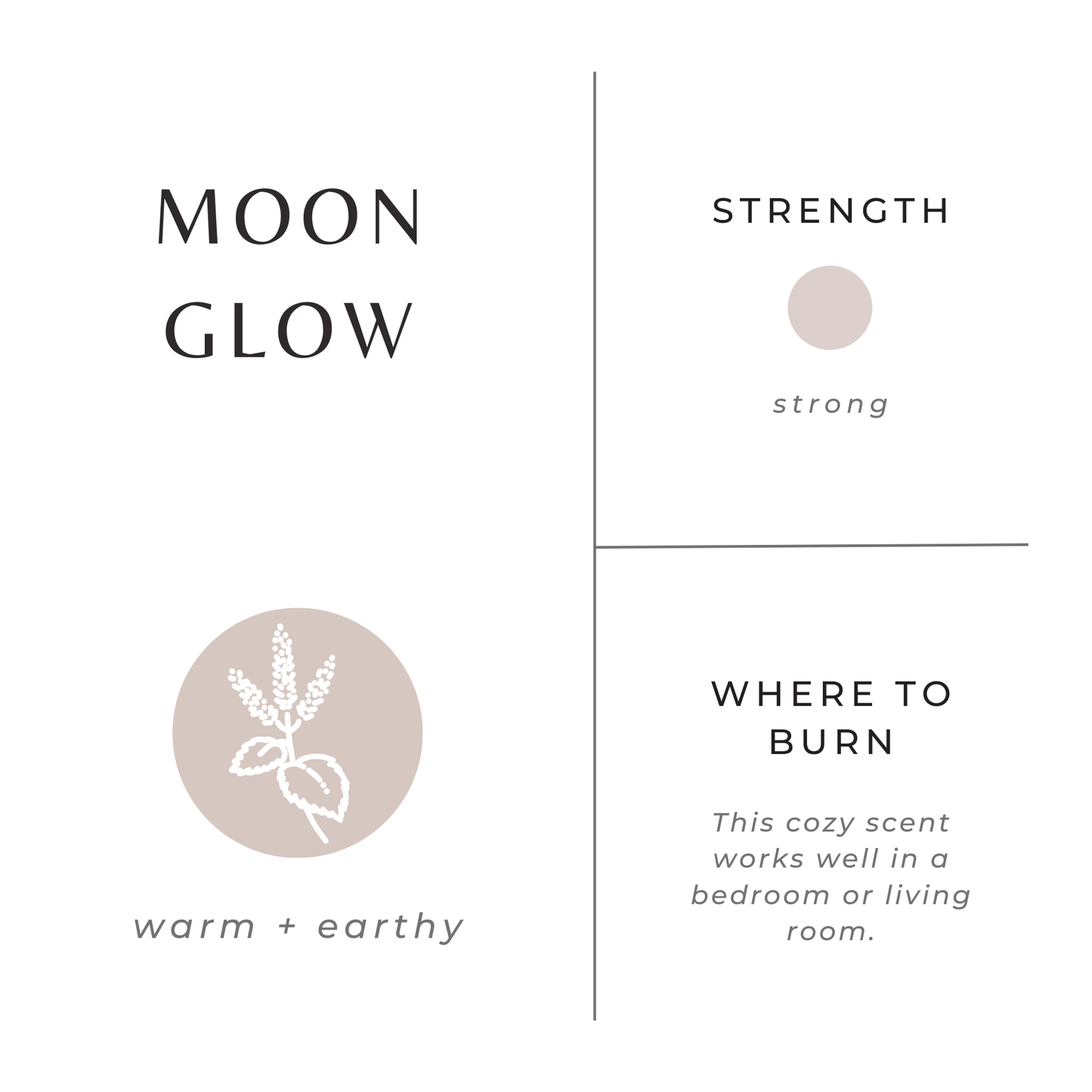 Slow North - Mini Soy Candles - 2 oz : Embers + Leather