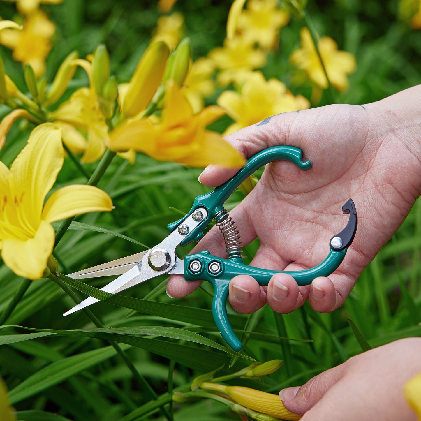 Modern Sprout - New Colors! Garden Shears