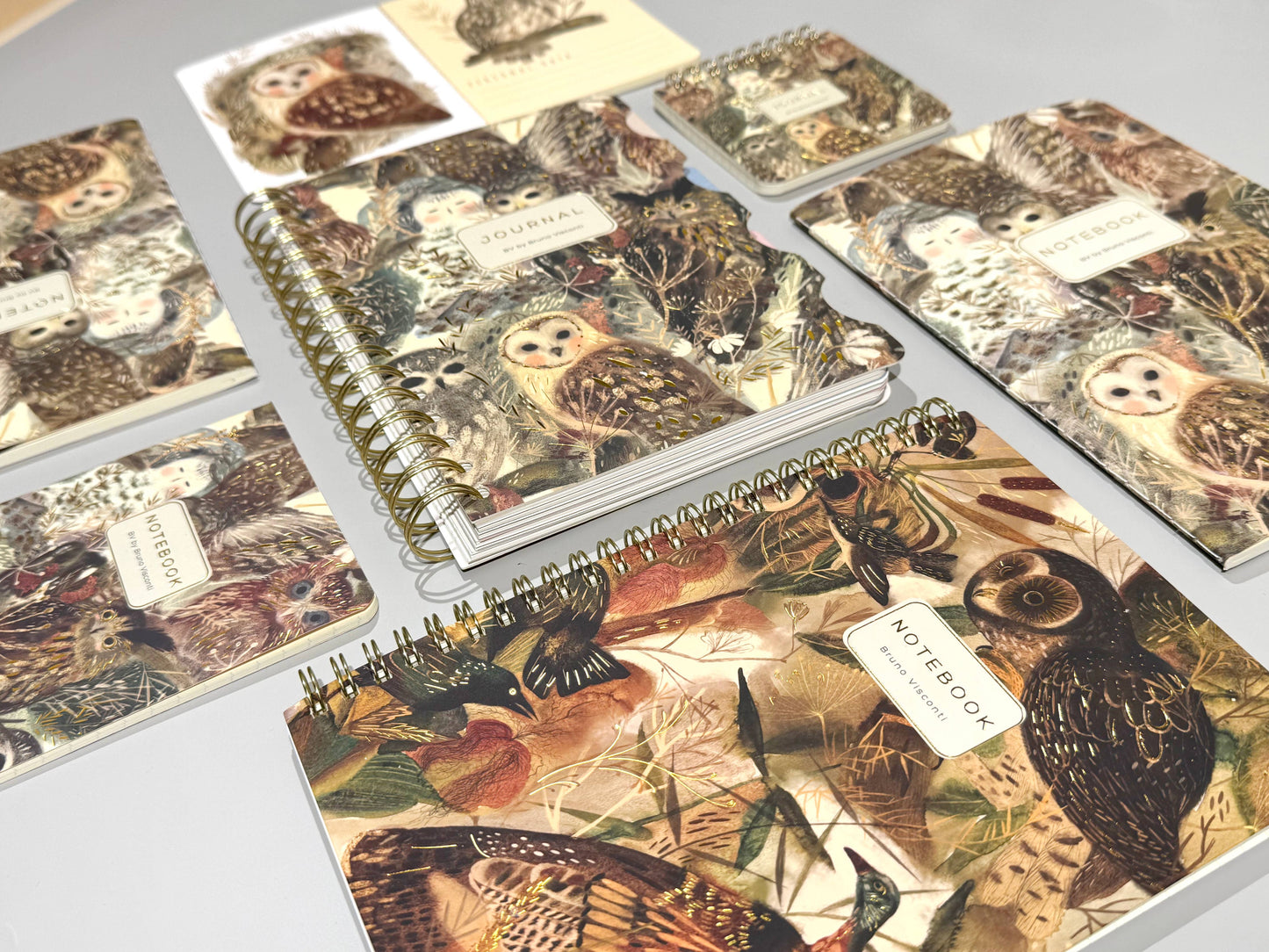 BV by Bruno Visconti - Small Notebook  Owls 