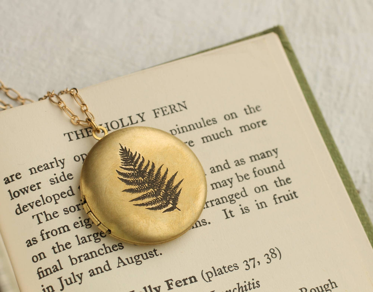 Silk Purse, Sow's Ear - Engraved Fern Locket: 18"