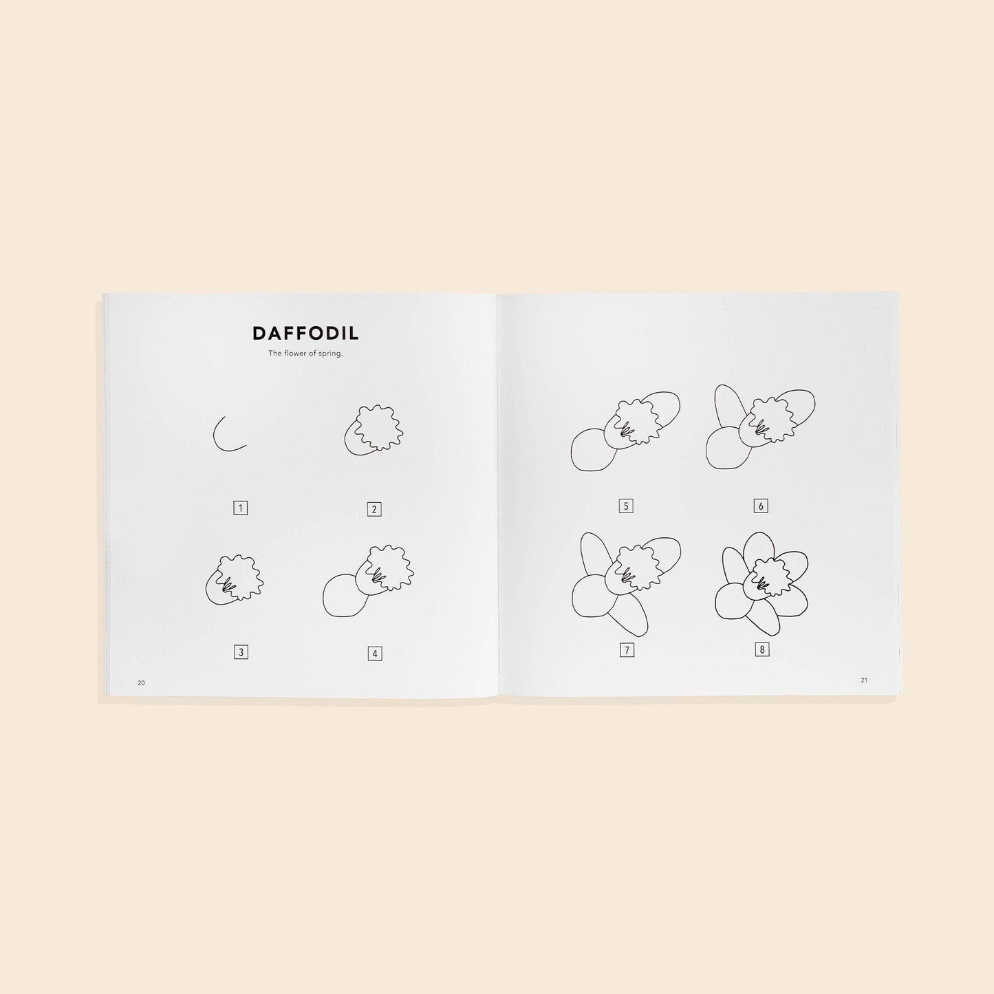 Paige Tate & Co. - Modern Flowers: A How to Draw Book for Kids