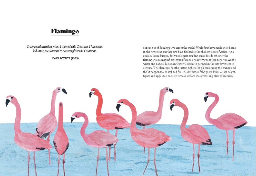 Chronicle Books - Bird Lore