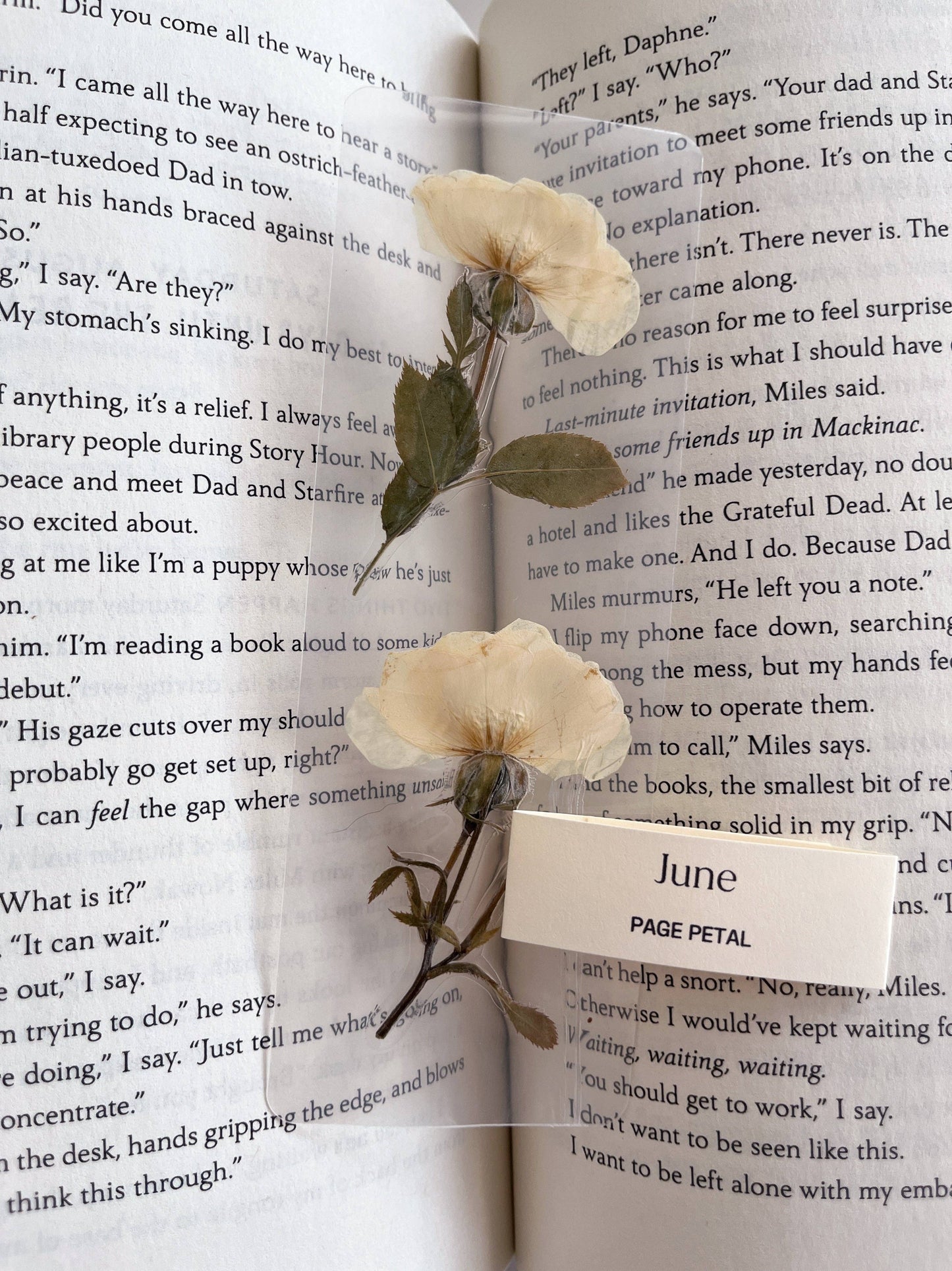Page Petal - June Rose Bookmark | Birth Month Flower Gift