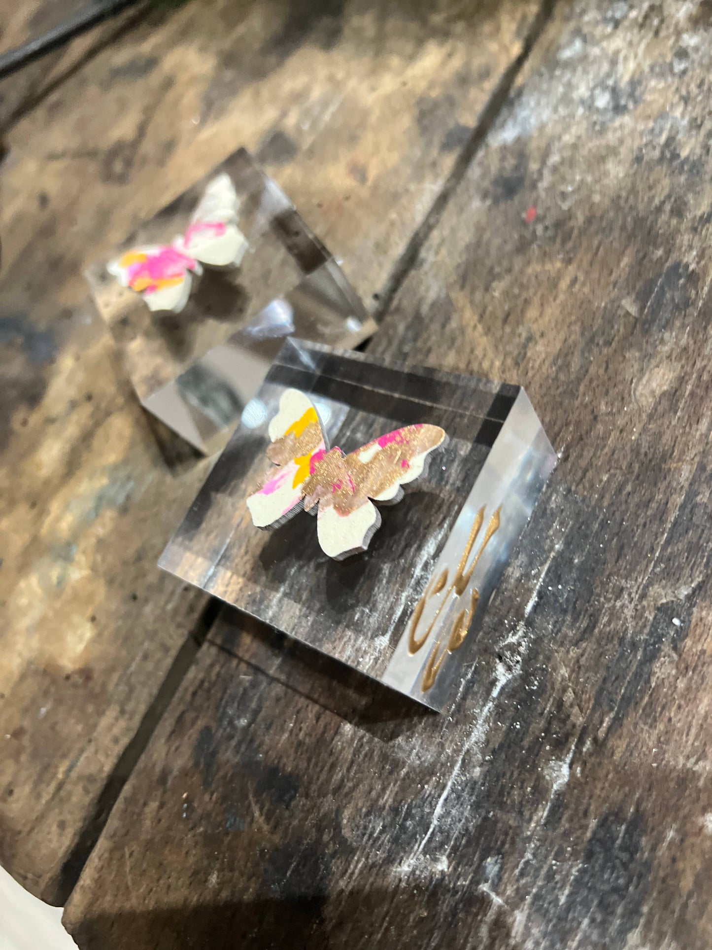 The Painted Petal - Butterfly Lucite Block