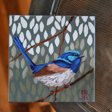A Bird A Day No 7: The Fairy Wren