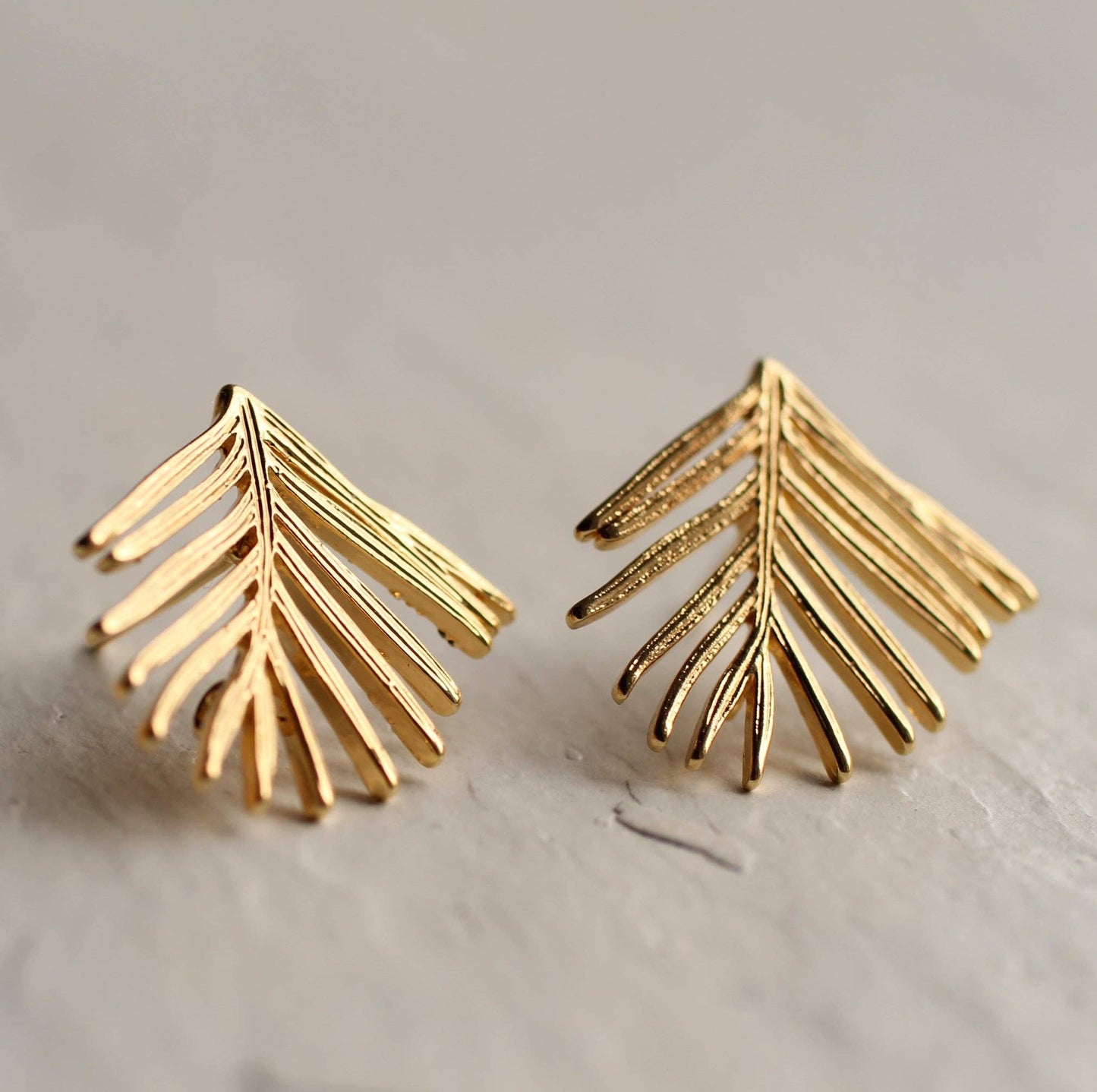 Silk Purse, Sow's Ear - Fir Botanical Stud Earrings