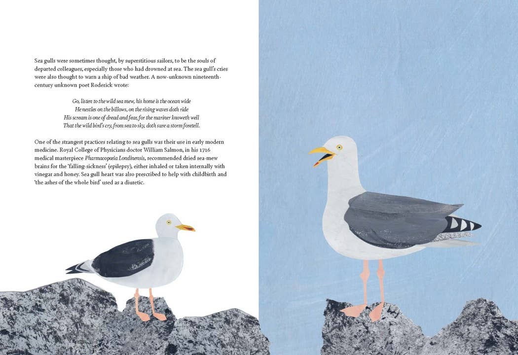 Chronicle Books - Bird Lore