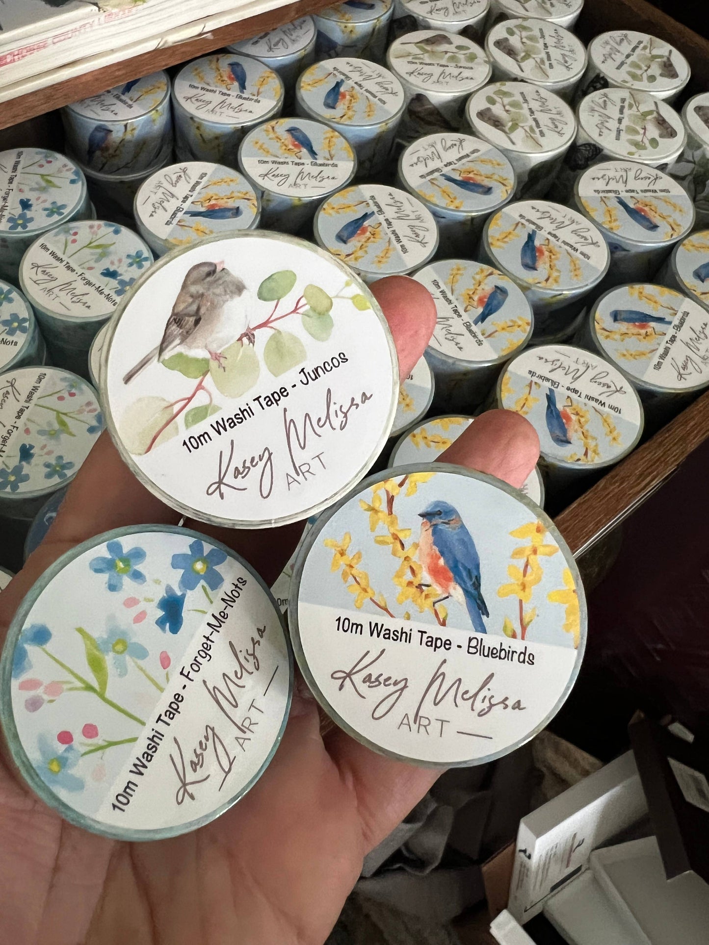 Kasey Melissa Art - Washi Tape / Junco Birds and Butterflies
