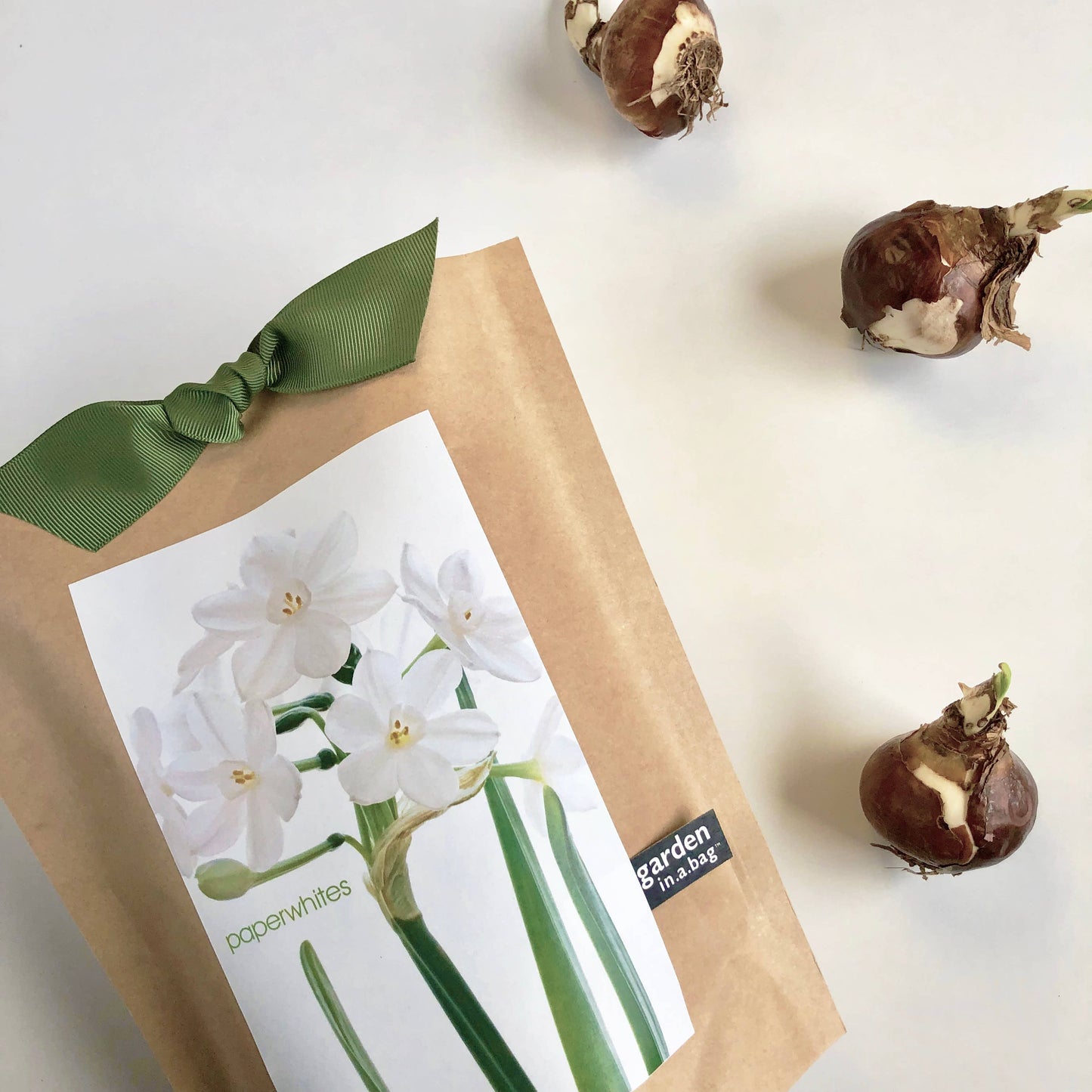 Potting Shed Creations, Ltd. - Garden in a Bag | Christmas Paperwhites