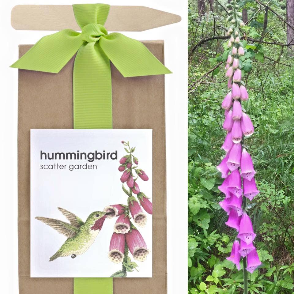 Potting Shed Creations, Ltd. - Scatter Garden | Hummingbird | Fall Planting: Hummingbird