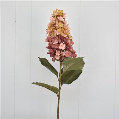 David Christopher's Collection - 38” Panicle Single bloom Hydrangea Stem - Sunset