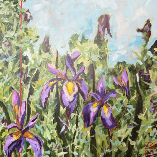 Wild Irises - Original Acrylic 24x24"