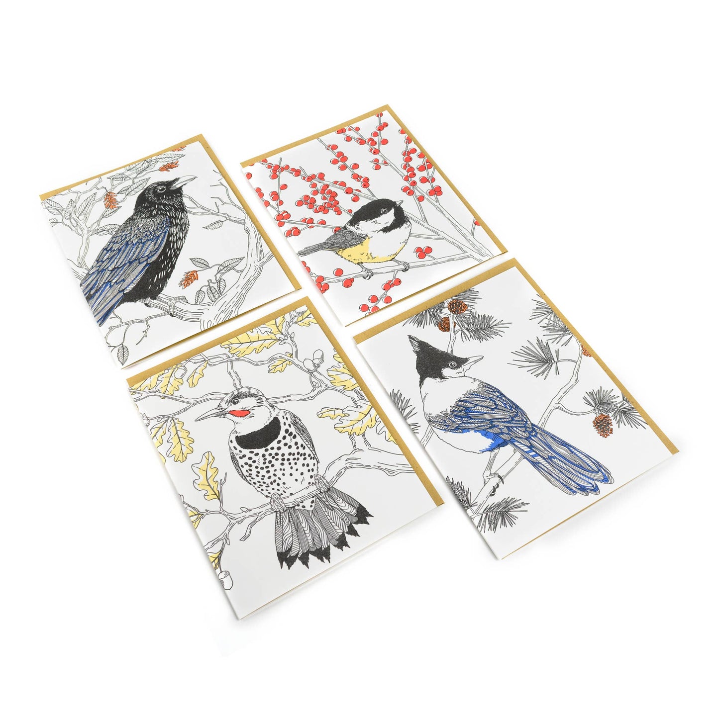 Black-capped Chickadee Card: Box Set of 6 Cards