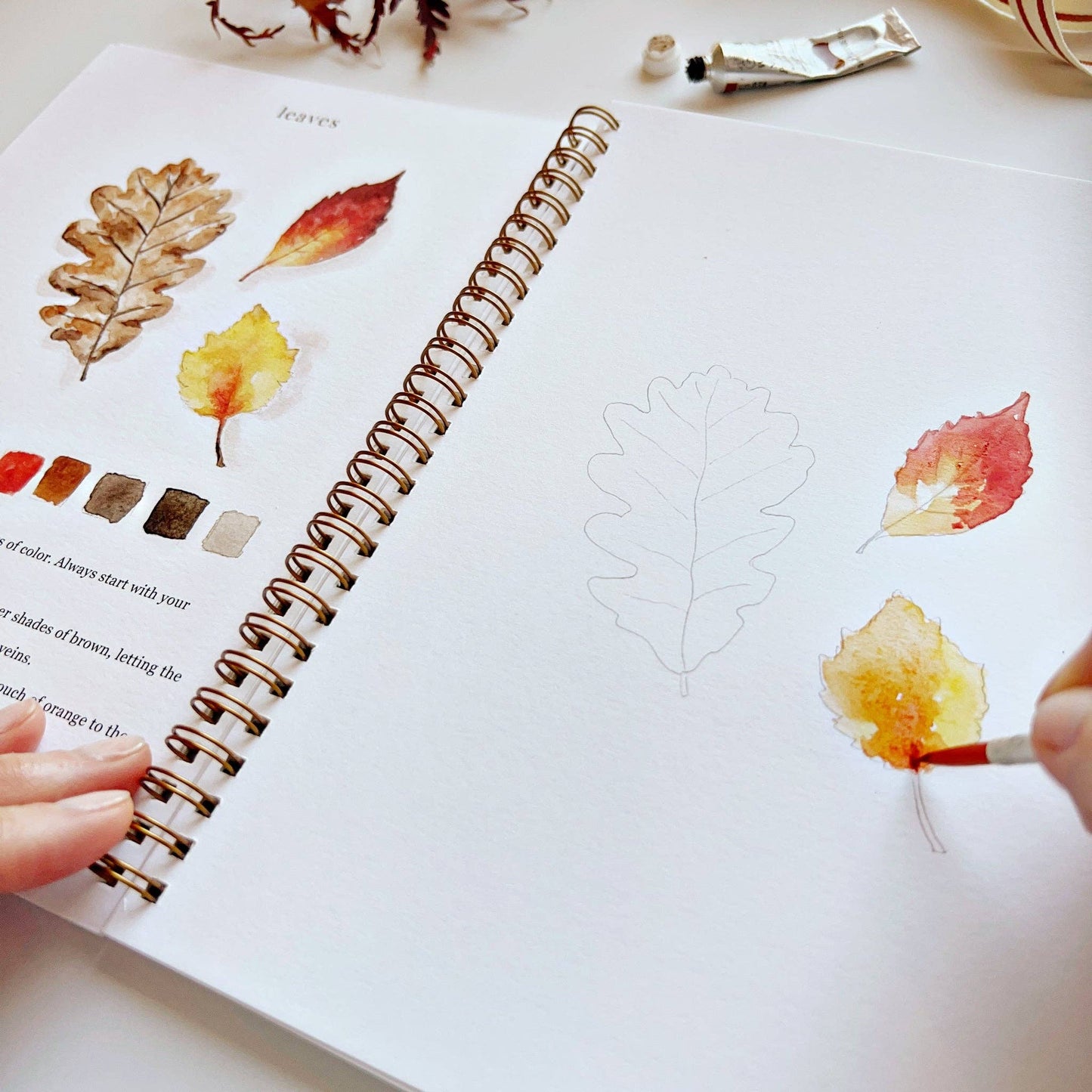 emily lex studio - Autumn watercolor workbook