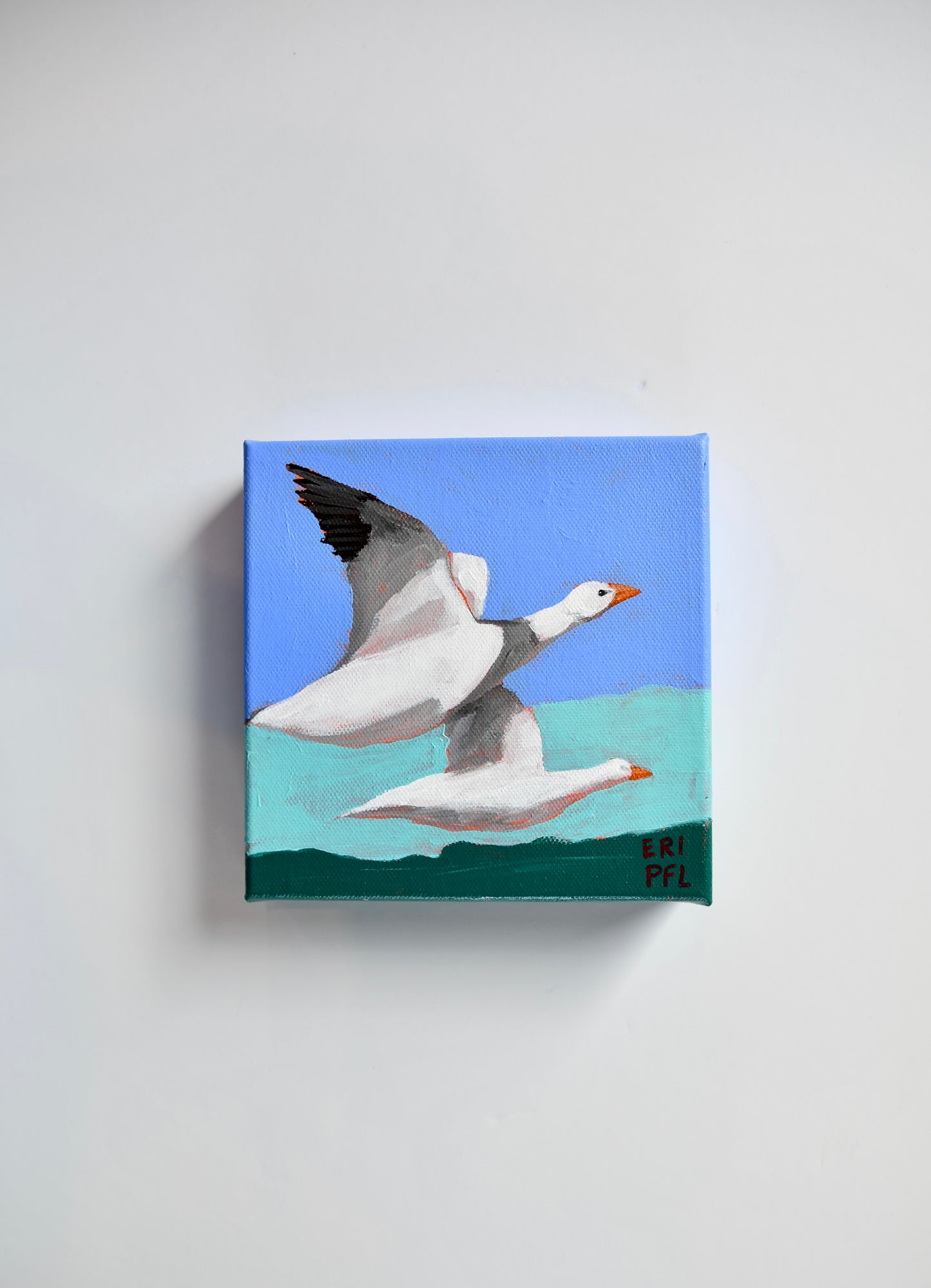 A Bird A Day No 16: The Geese