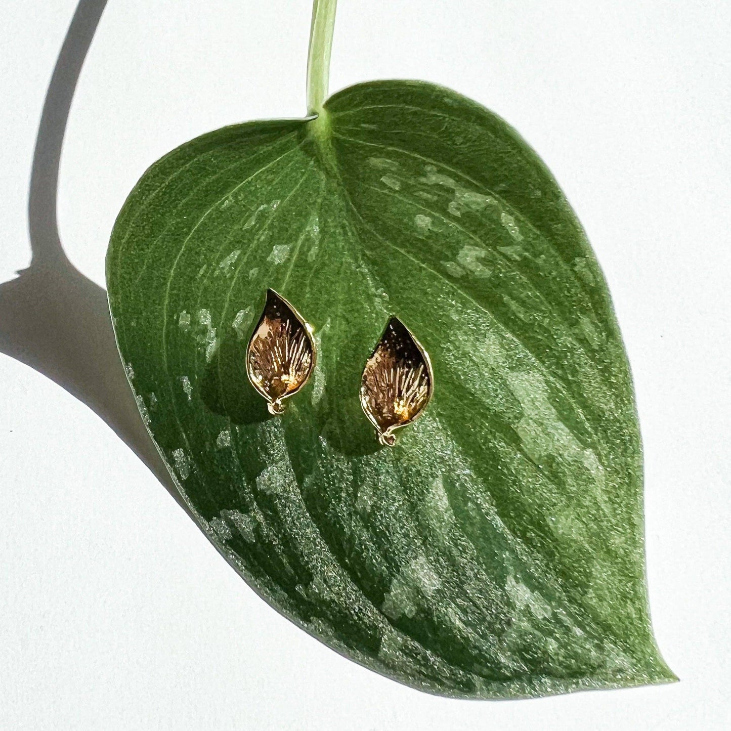 Natalie Clare Collections - Pothos Stud Earring