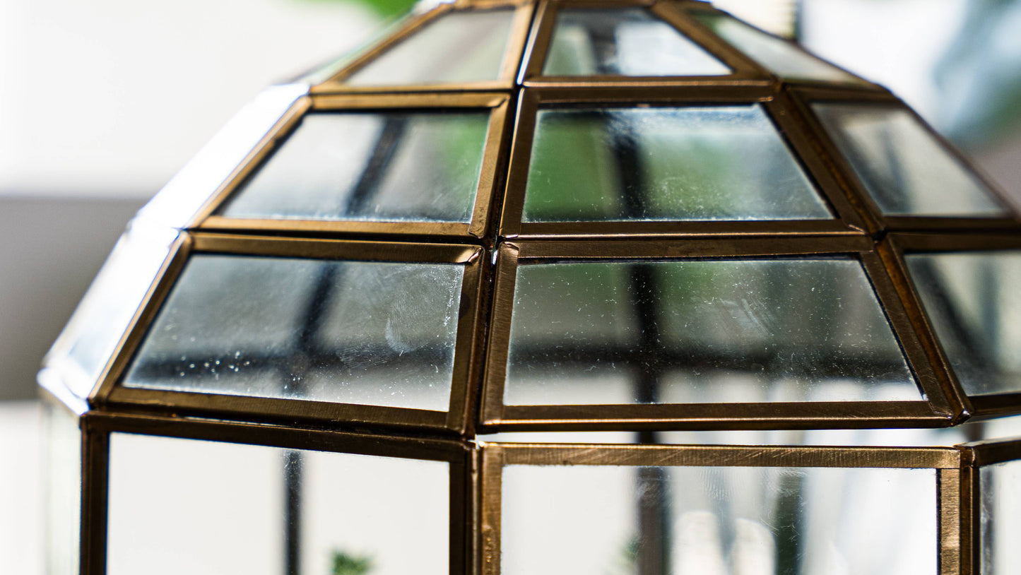 Urban Born - Urban Born Birdcage Terrarium: Glass Indoor Display, Bronze