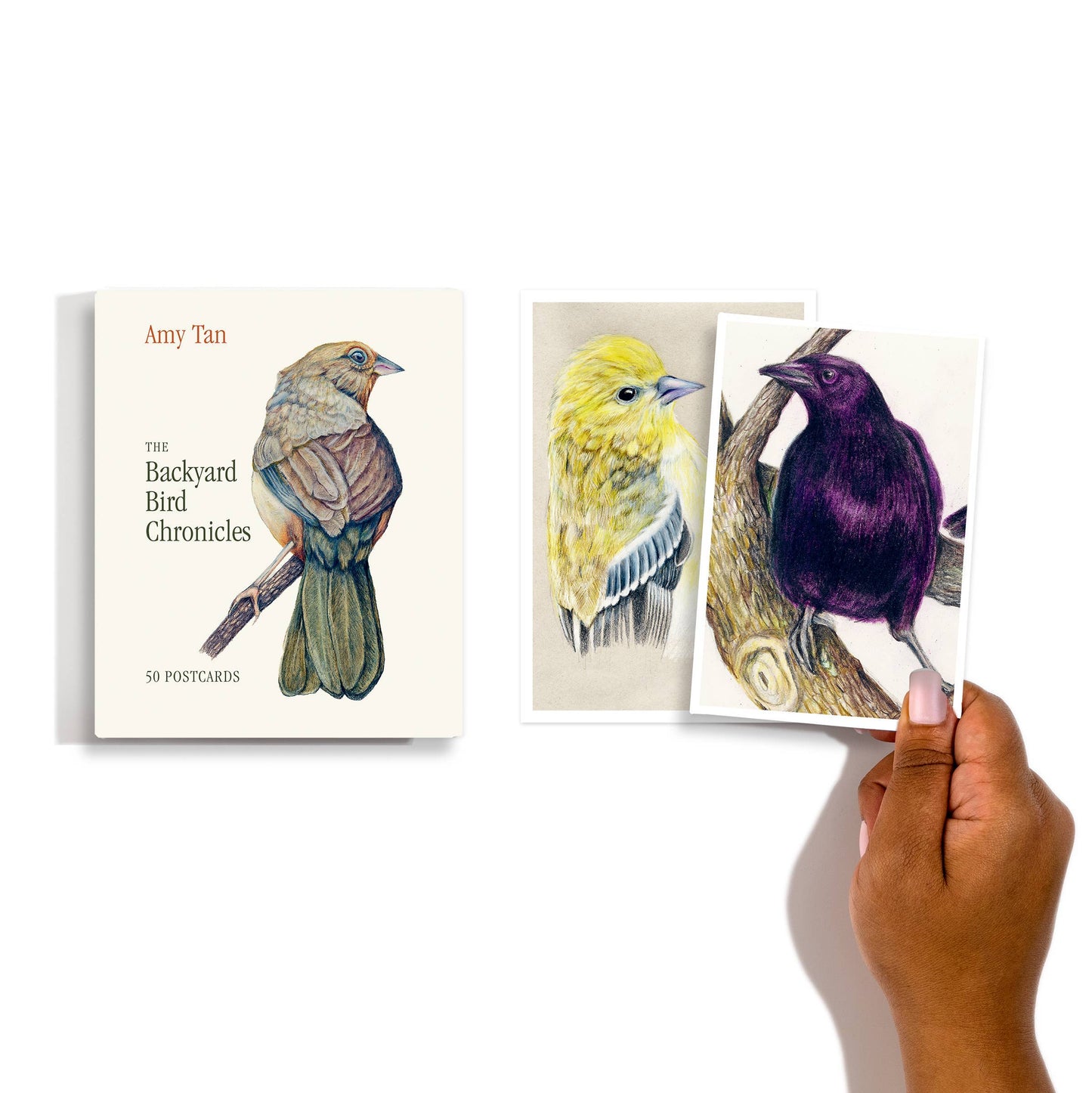 Hachette Book Group - The Backyard Bird Chronicles: 50 Postcards by Amy Tan