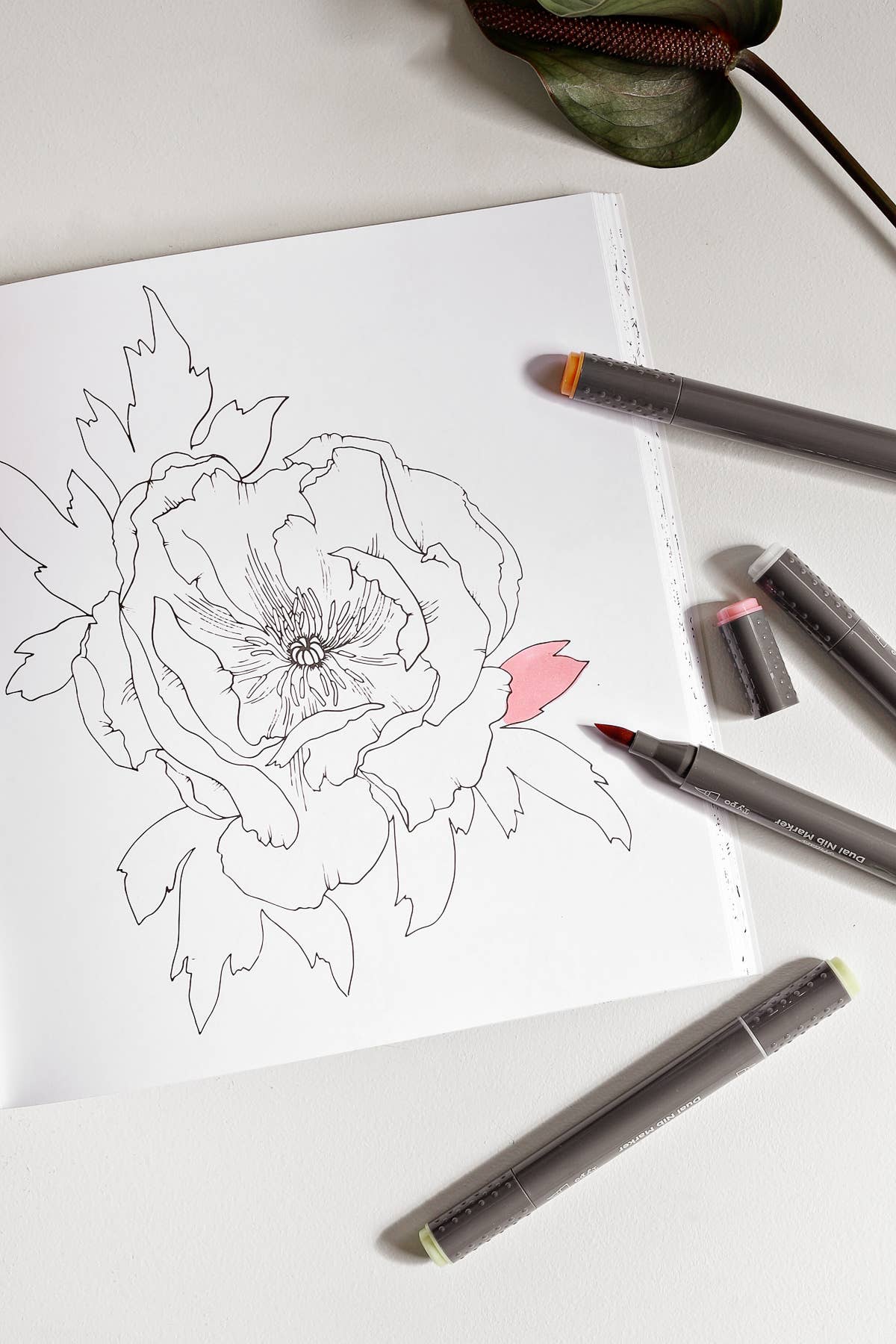 Paige Tate & Co. - The Plant Lady: A Floral Coloring Book