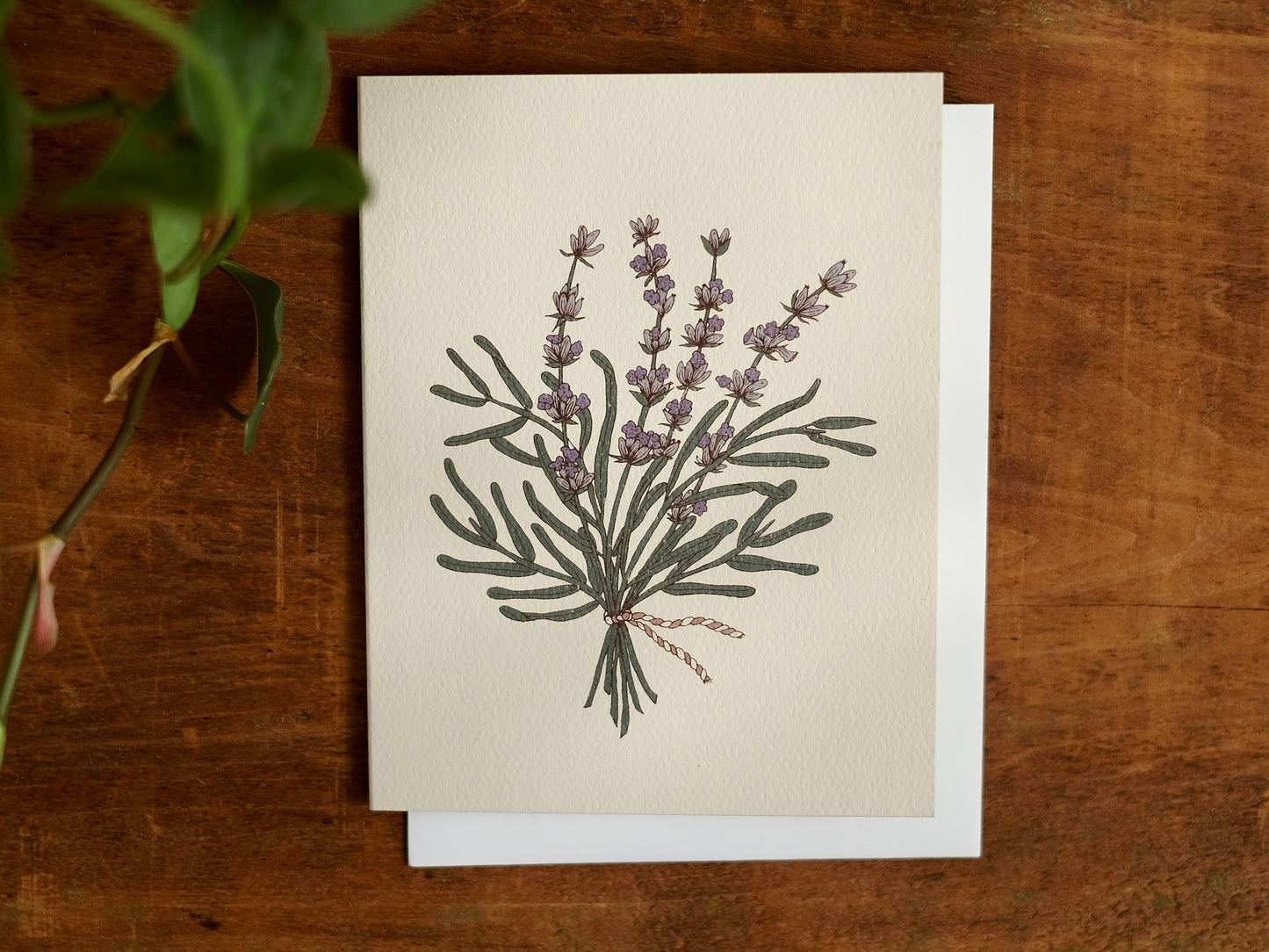 annalisa v. sawtell - The Botanical Promises Collection | Boxed Set of 8 | A2