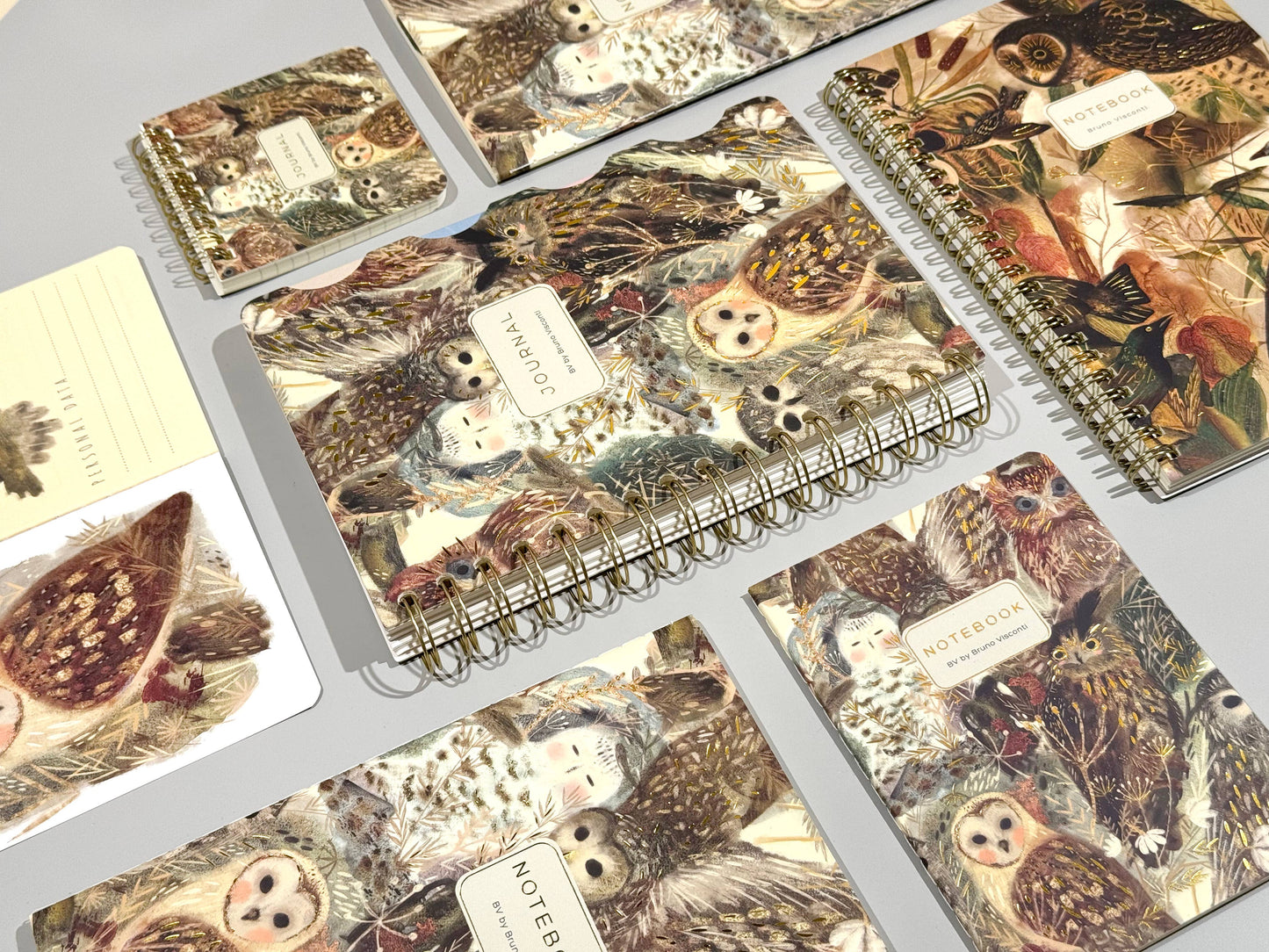 BV by Bruno Visconti - Small Notebook  Owls 